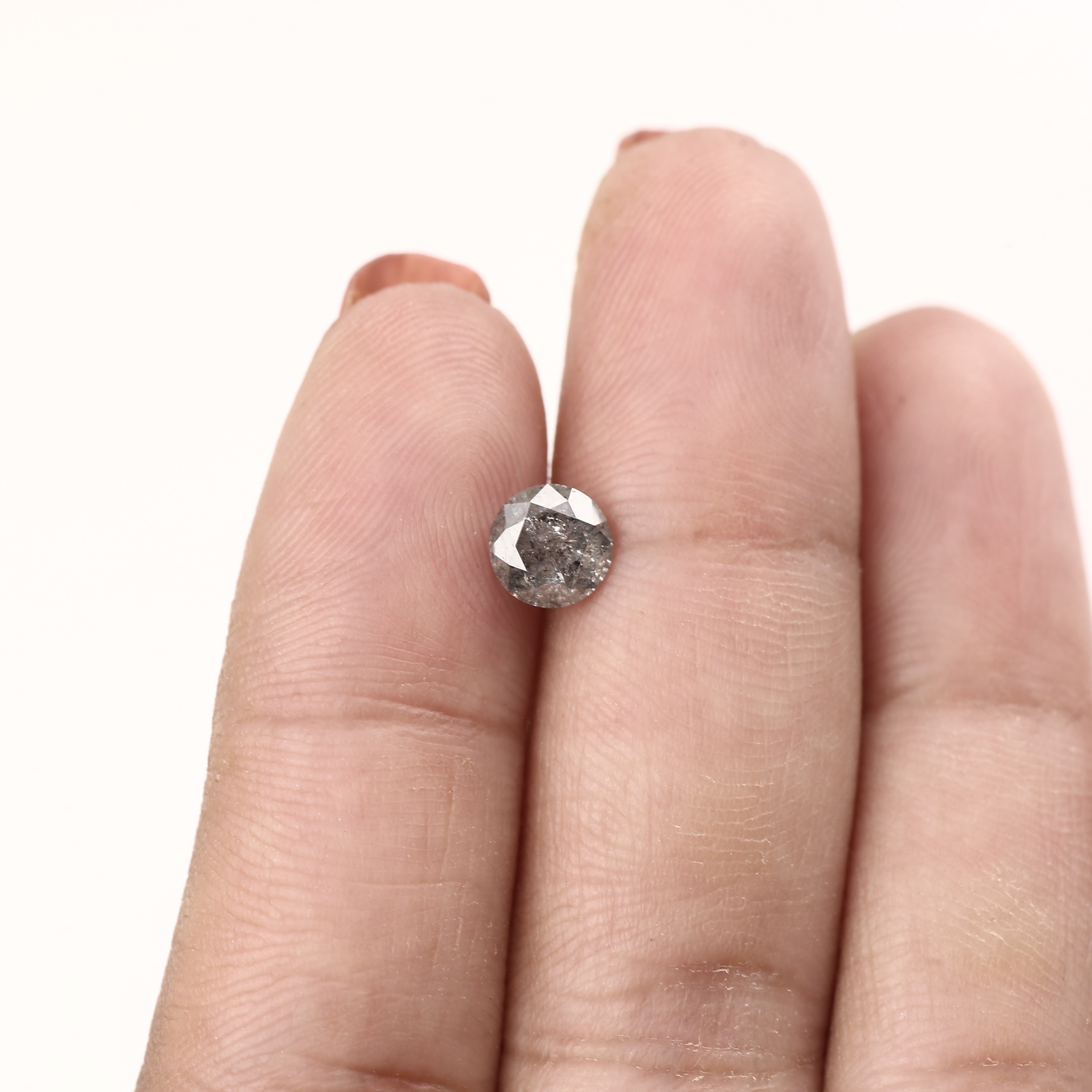 ClariOLED Transparent OLED Display price