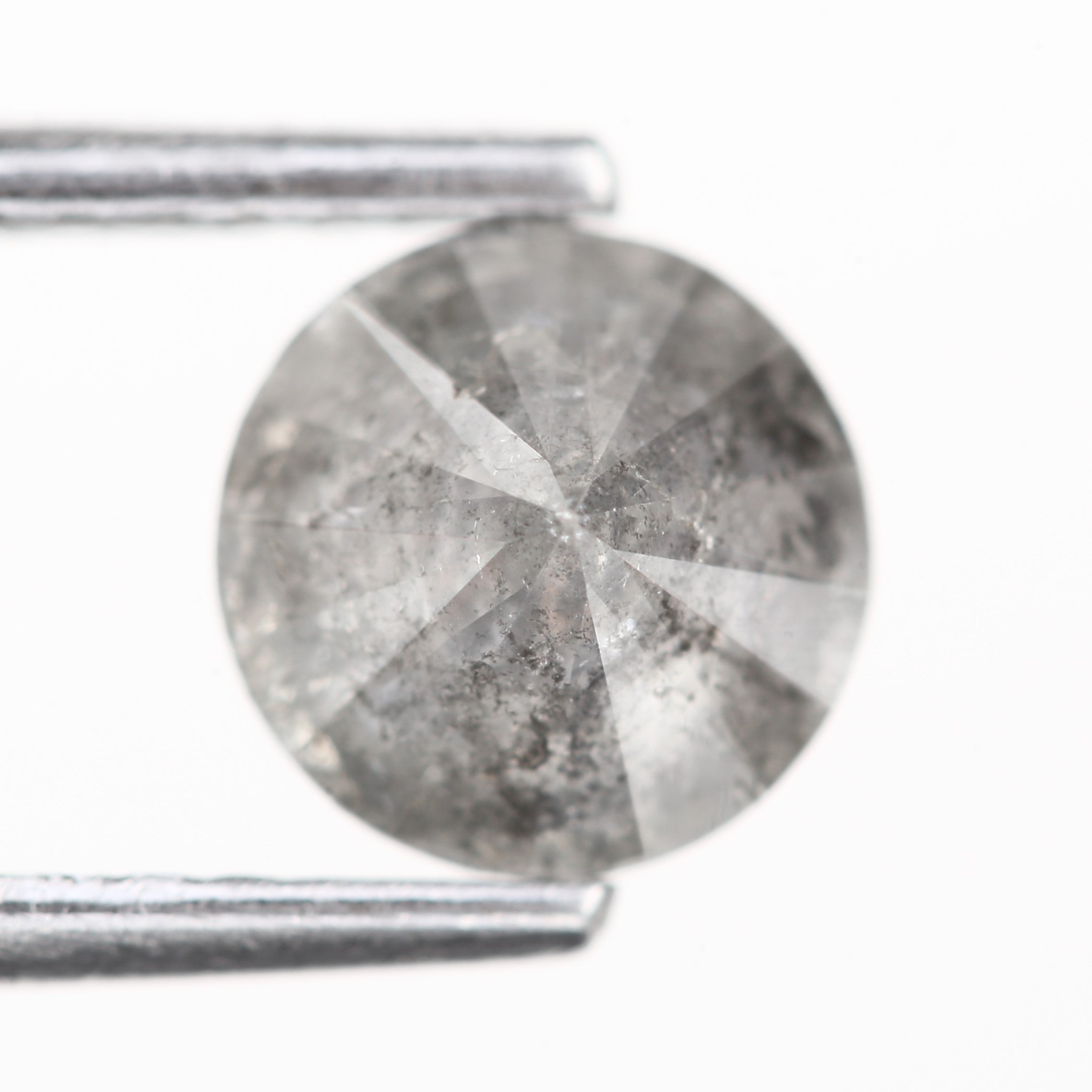 ClariOLED Transparent OLED Display price