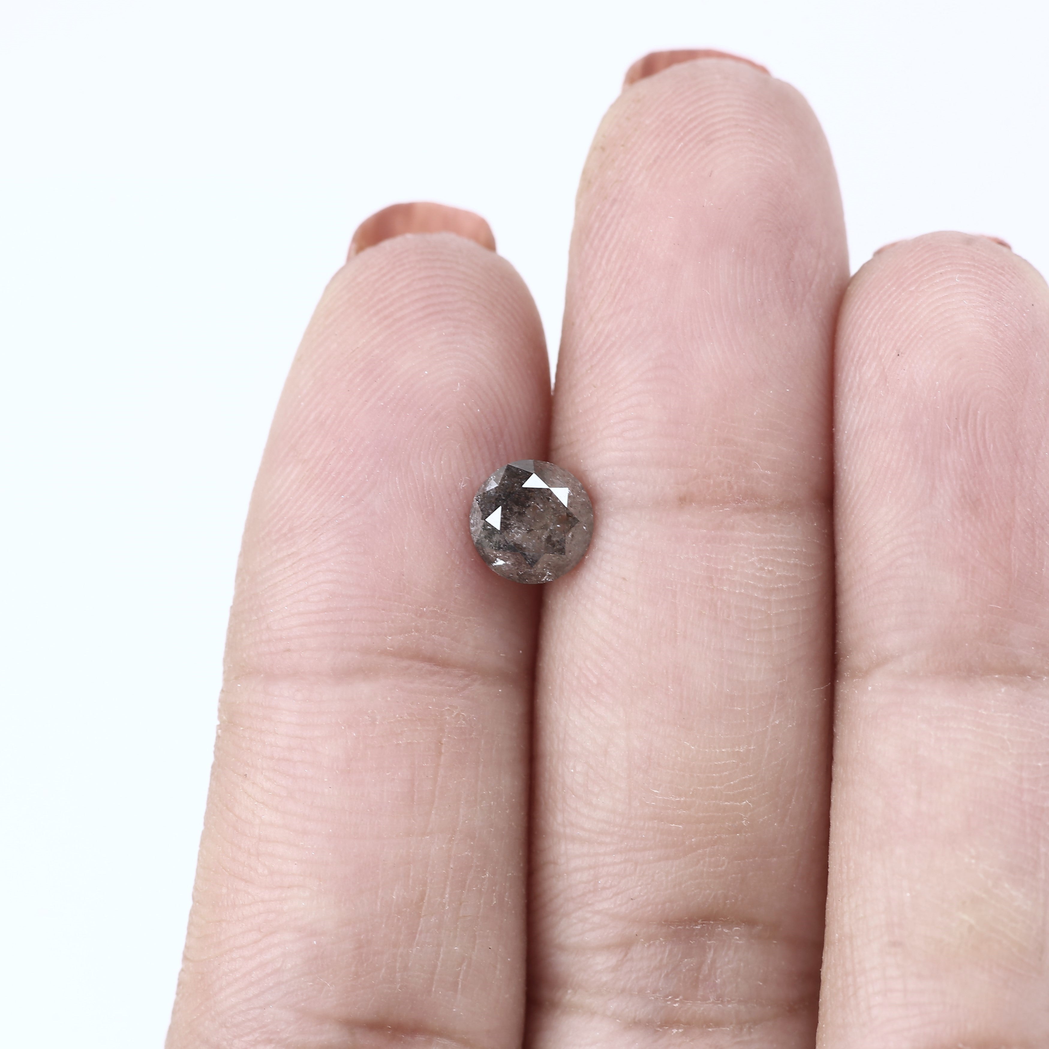 ClariOLED Transparent OLED Display price