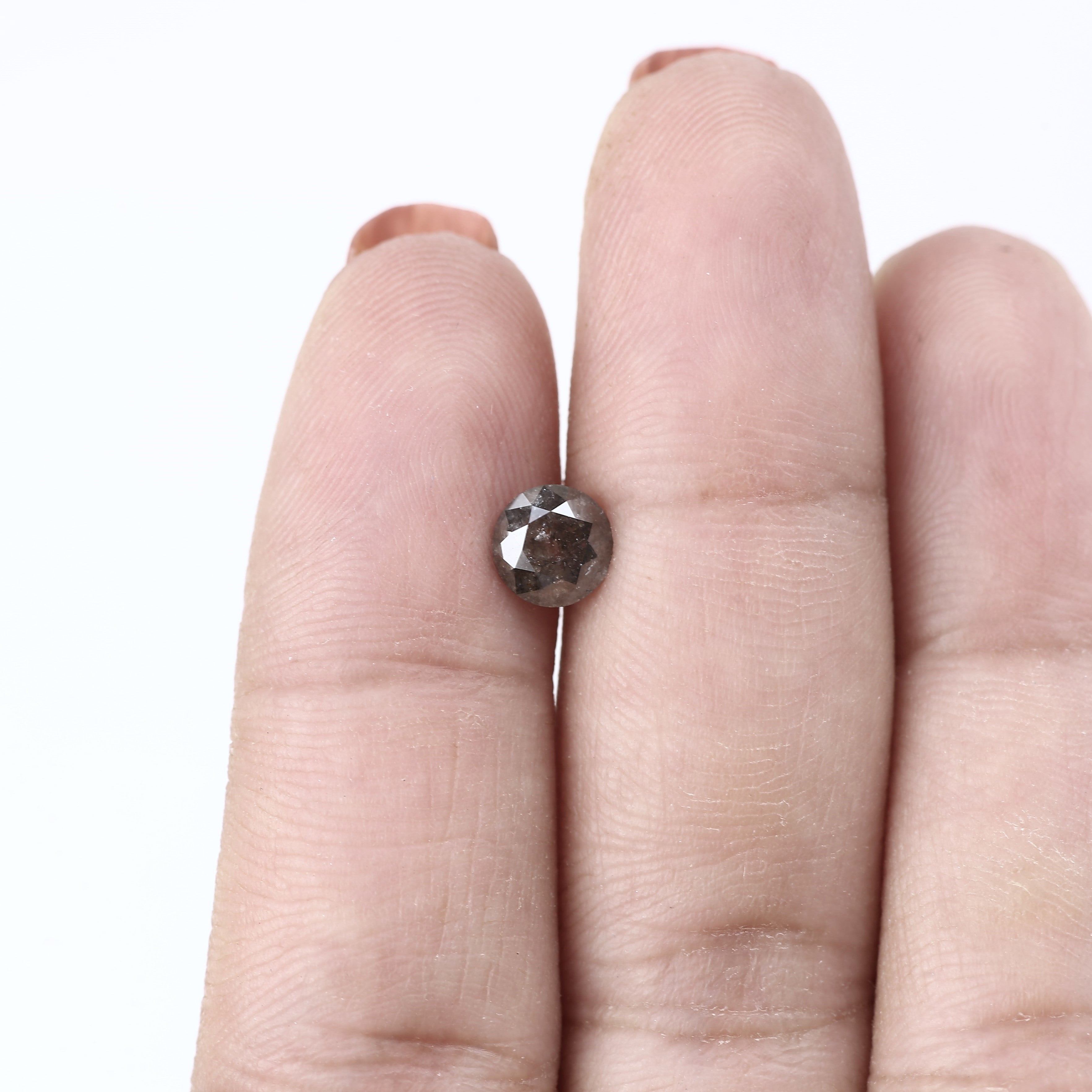 ClariOLED Transparent OLED Display price