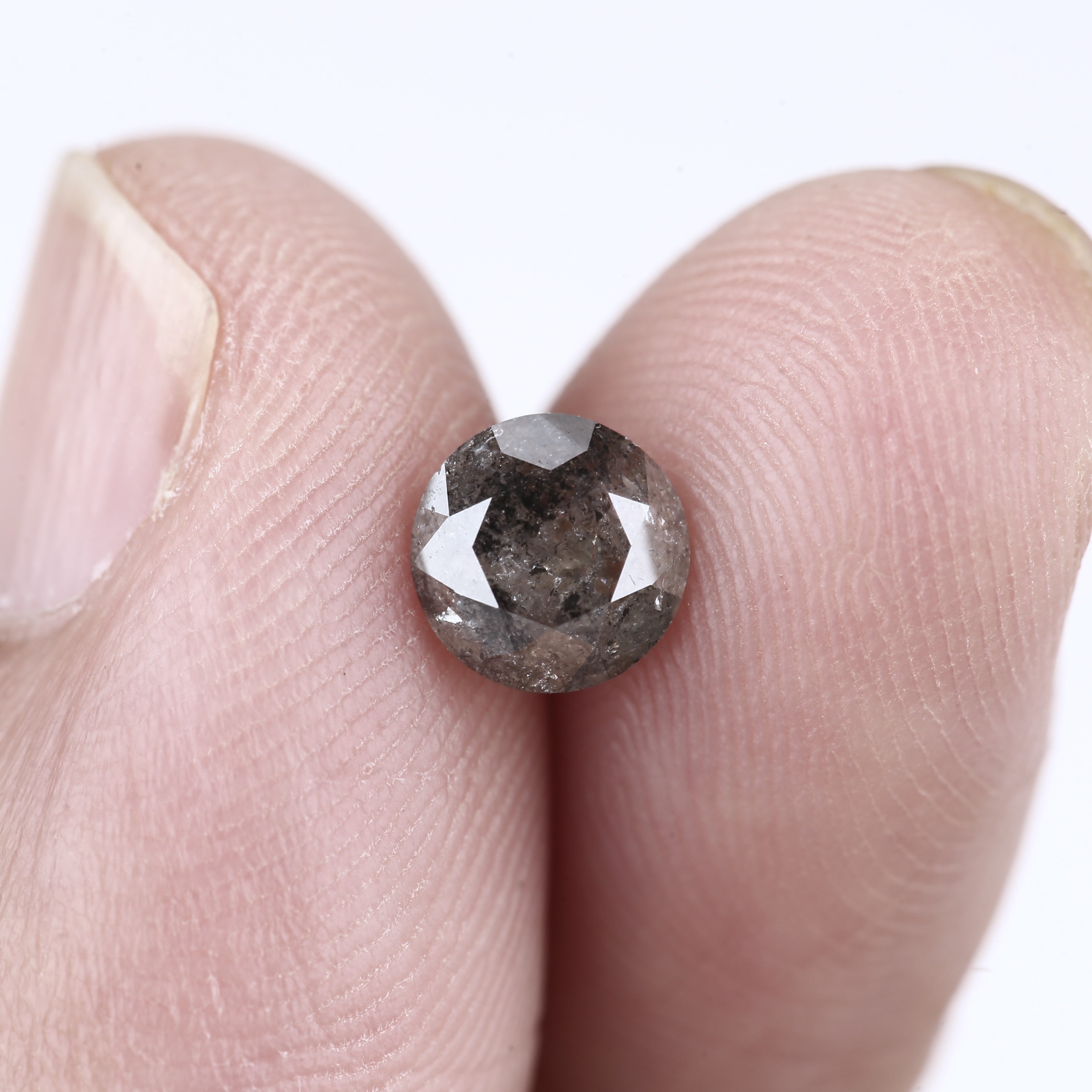 ClariOLED Transparent OLED Display price