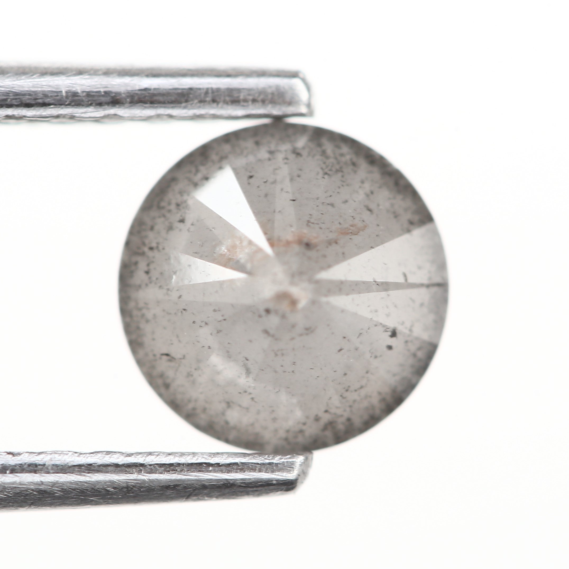 ClariOLED Transparent OLED Display price