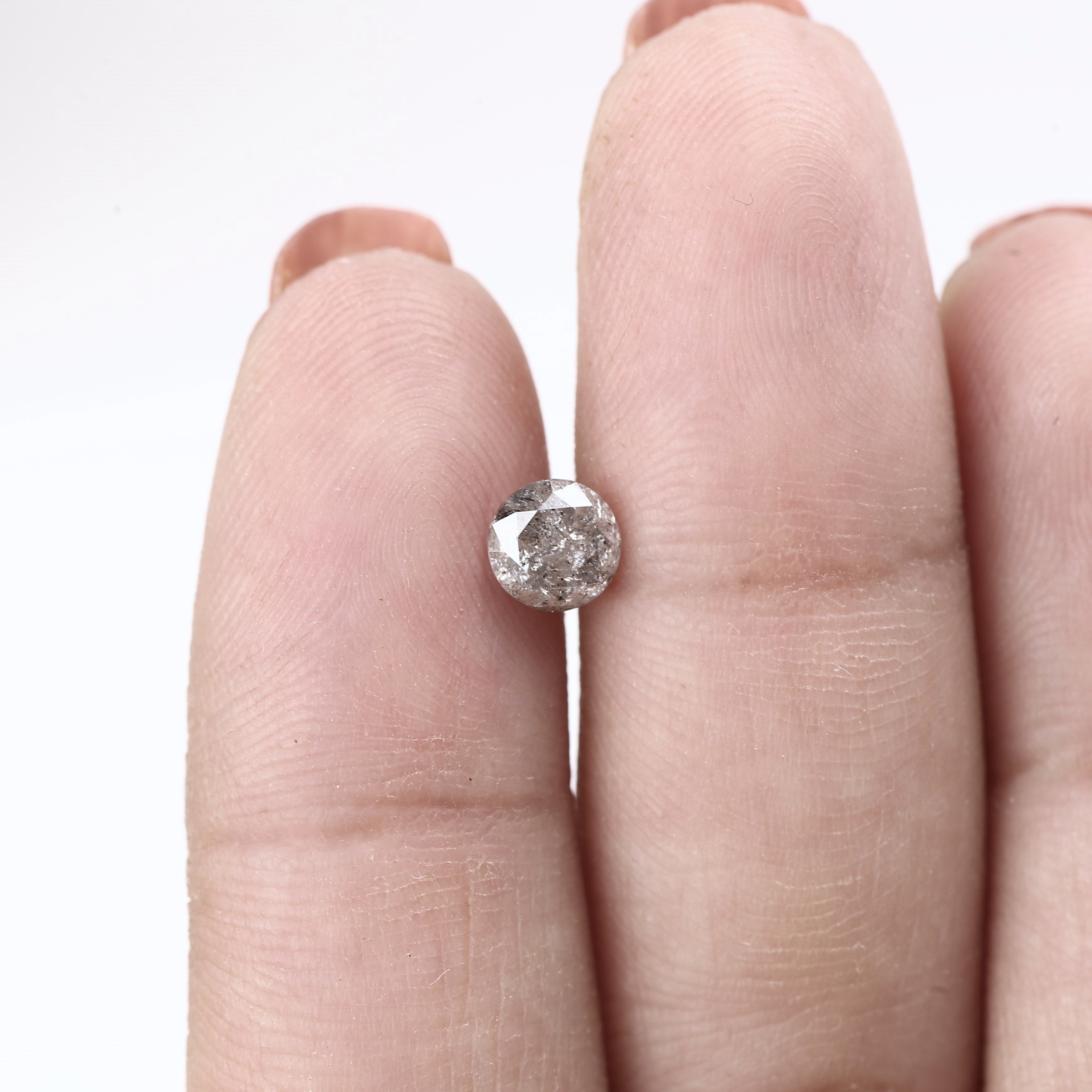 ClariOLED Transparent OLED Display price