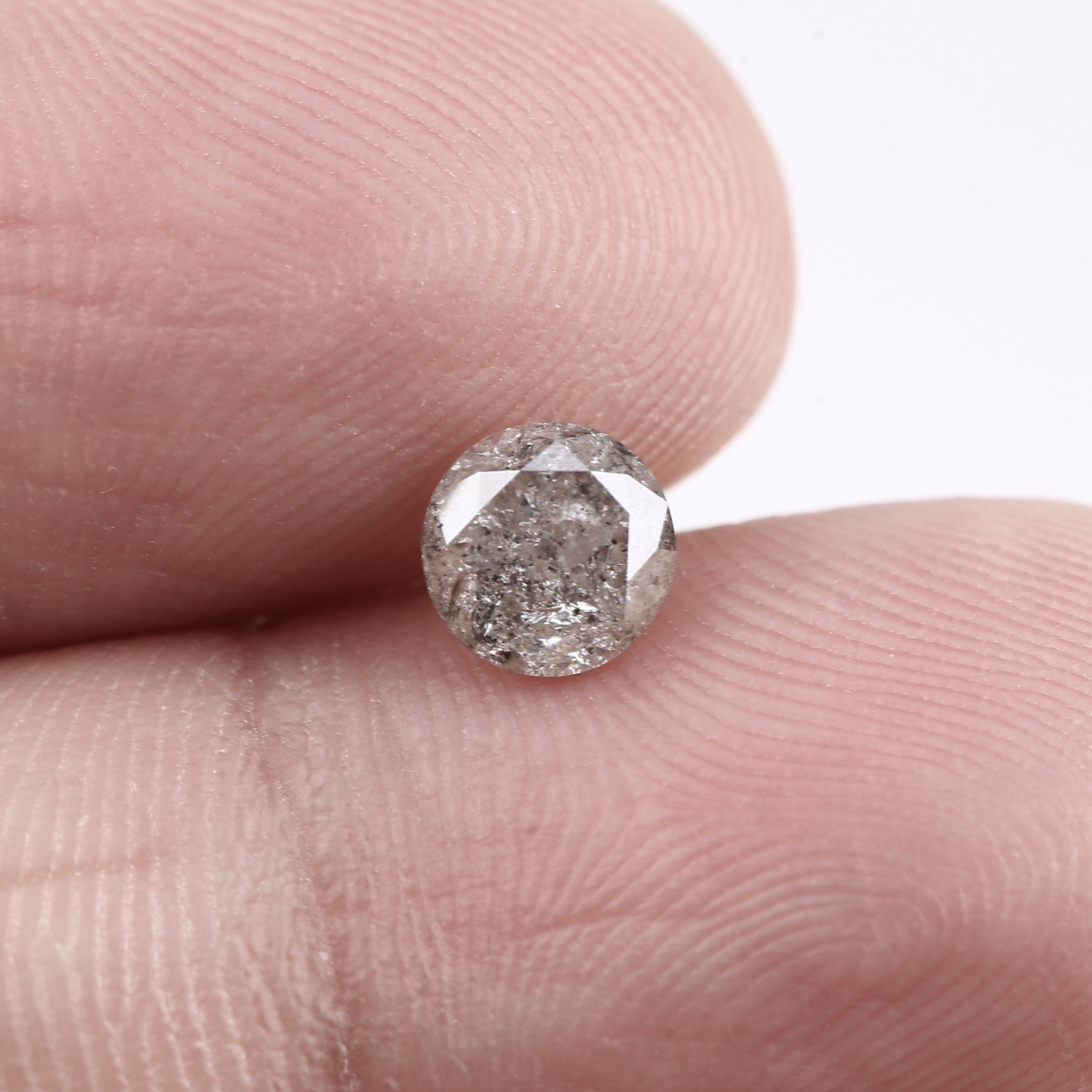 ClariOLED Transparent OLED Display price