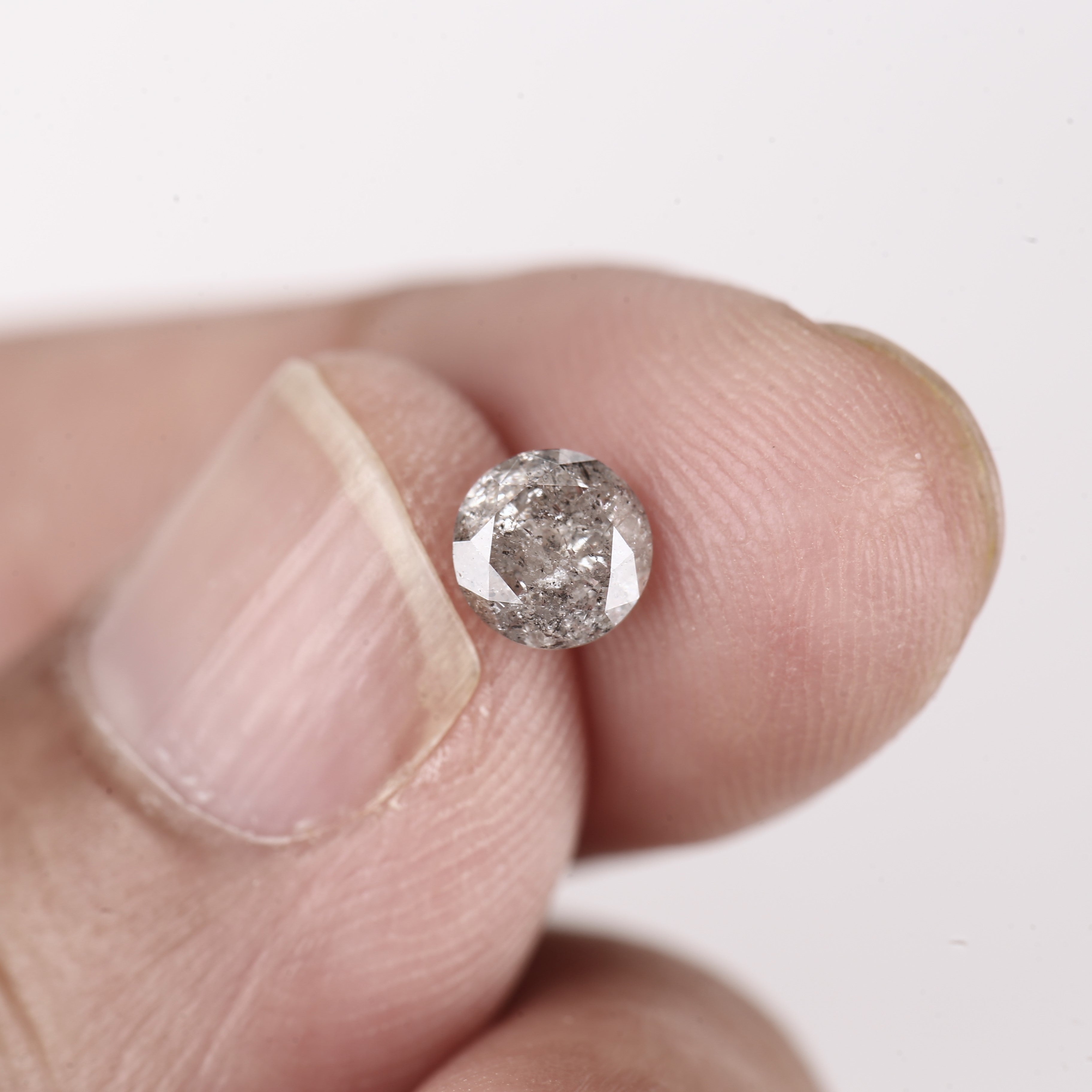 ClariOLED Transparent OLED Display price