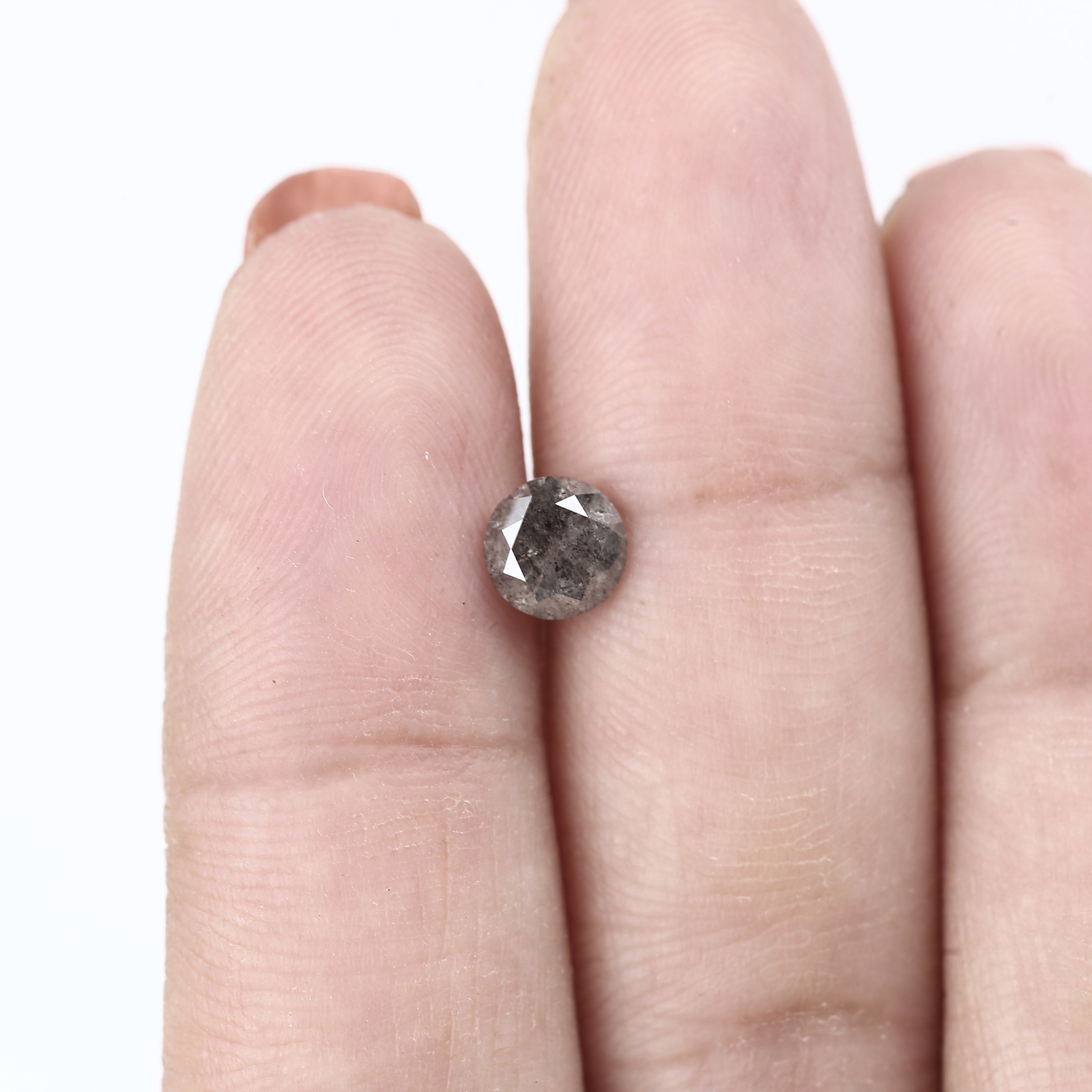 ClariOLED Transparent OLED Display price