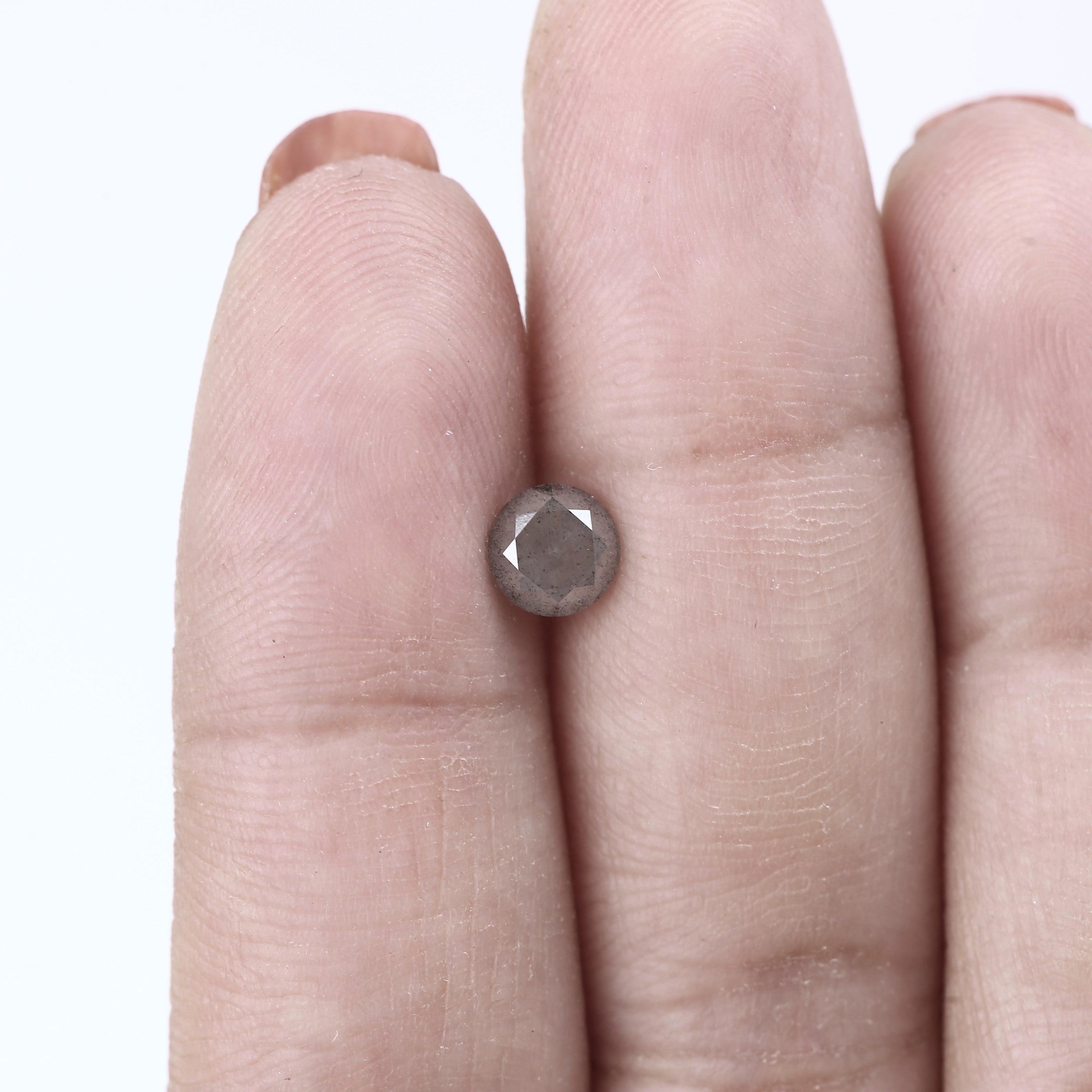 ClariOLED Transparent OLED Display price