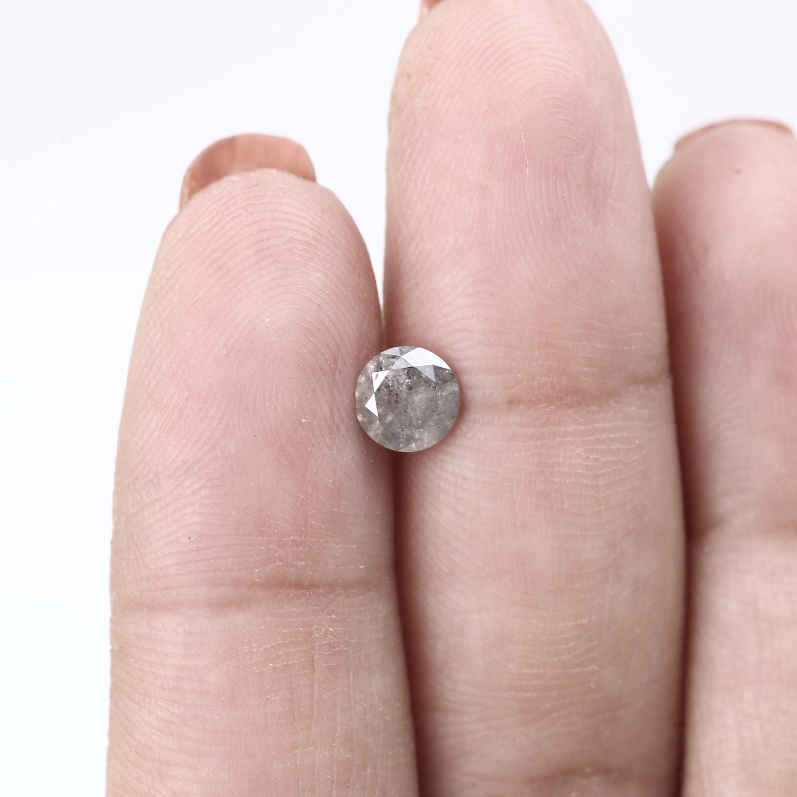 ClariOLED Transparent OLED Display price