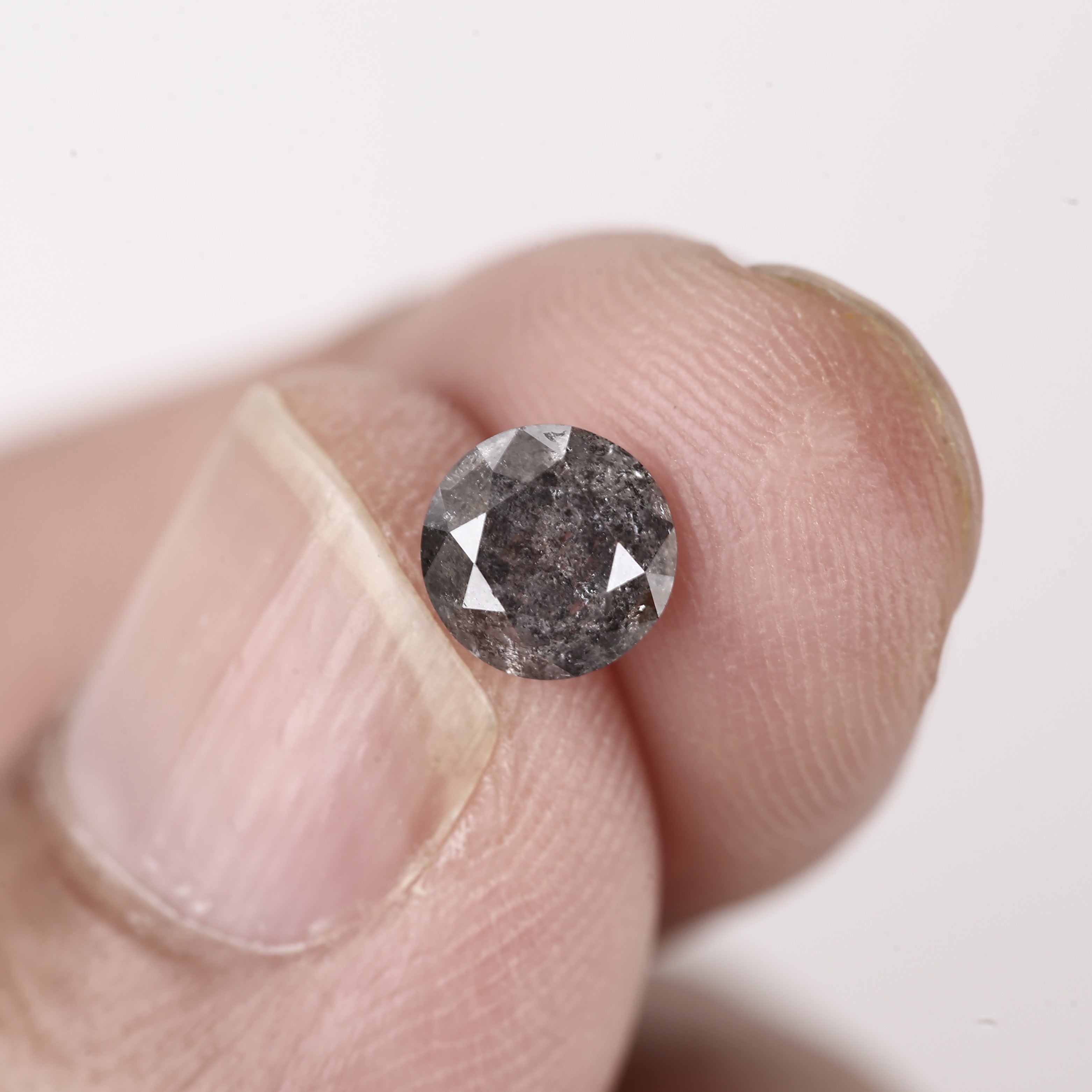 ClariOLED Transparent OLED Display price