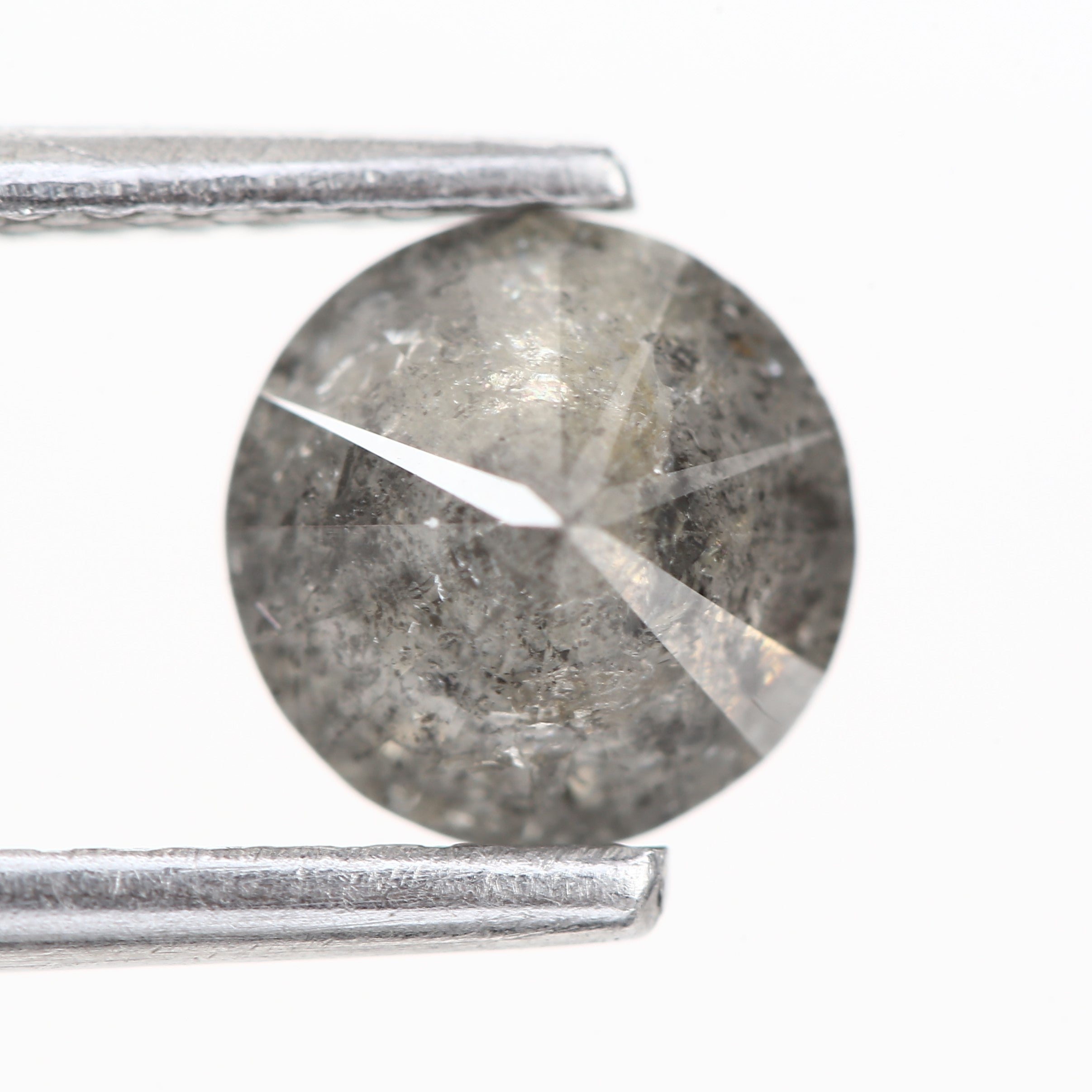 ClariOLED Transparent OLED Display price