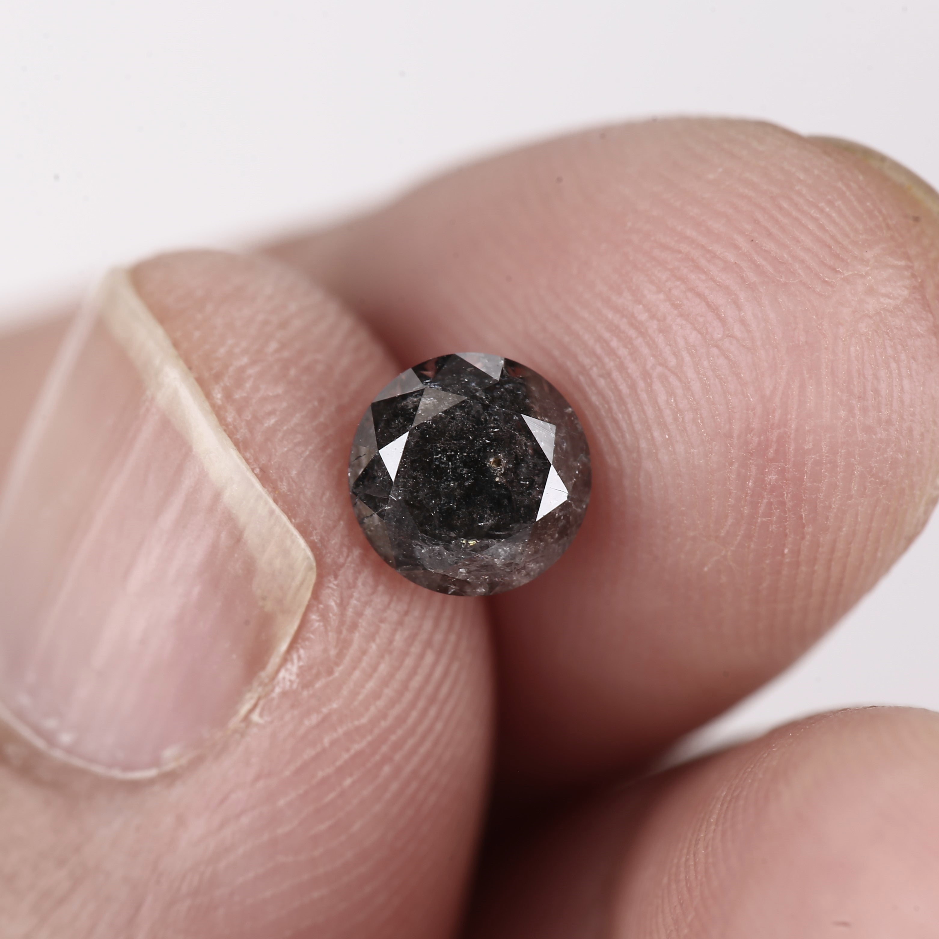 ClariOLED Transparent OLED Display price