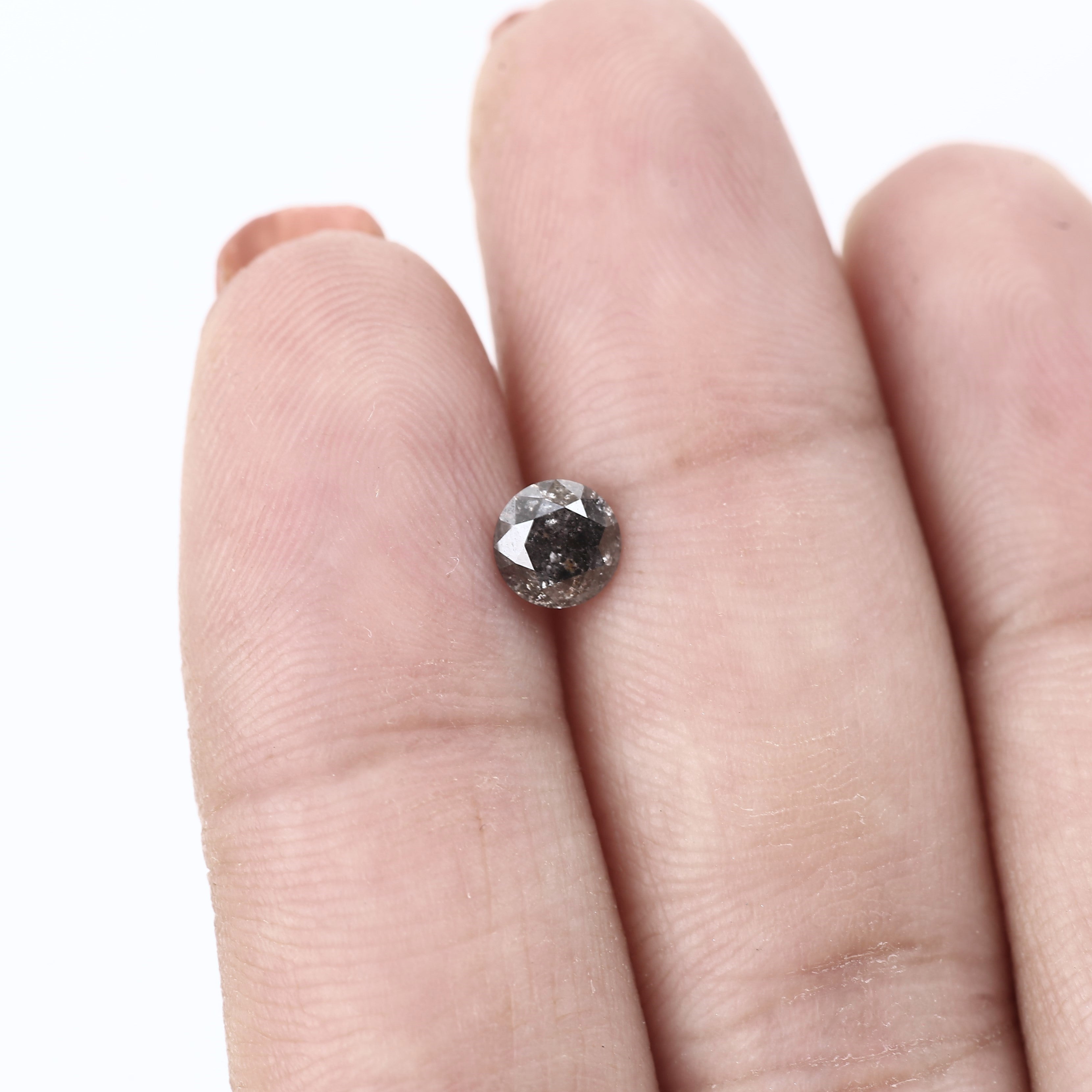 ClariOLED Transparent OLED Display price