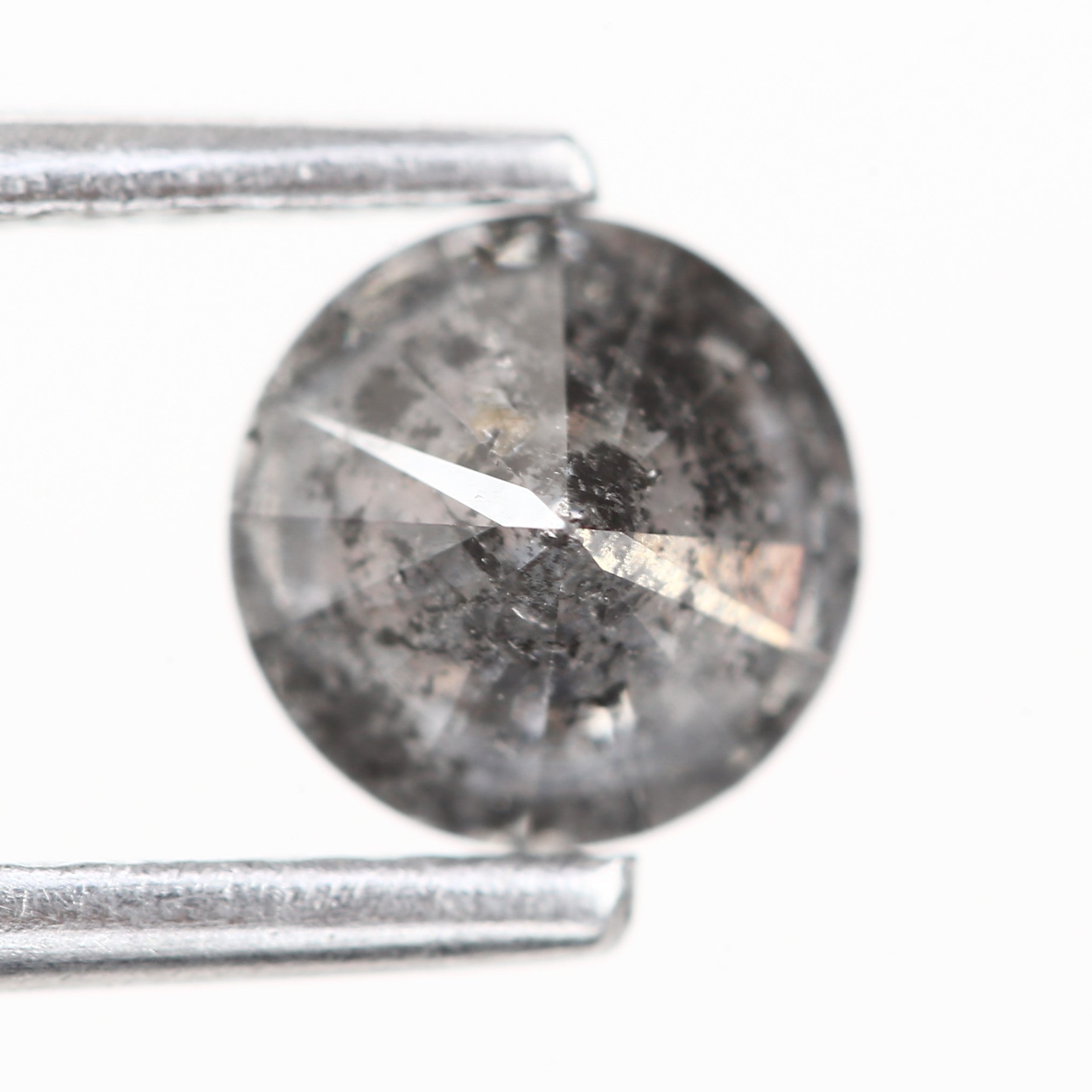 ClariOLED Transparent OLED Display price