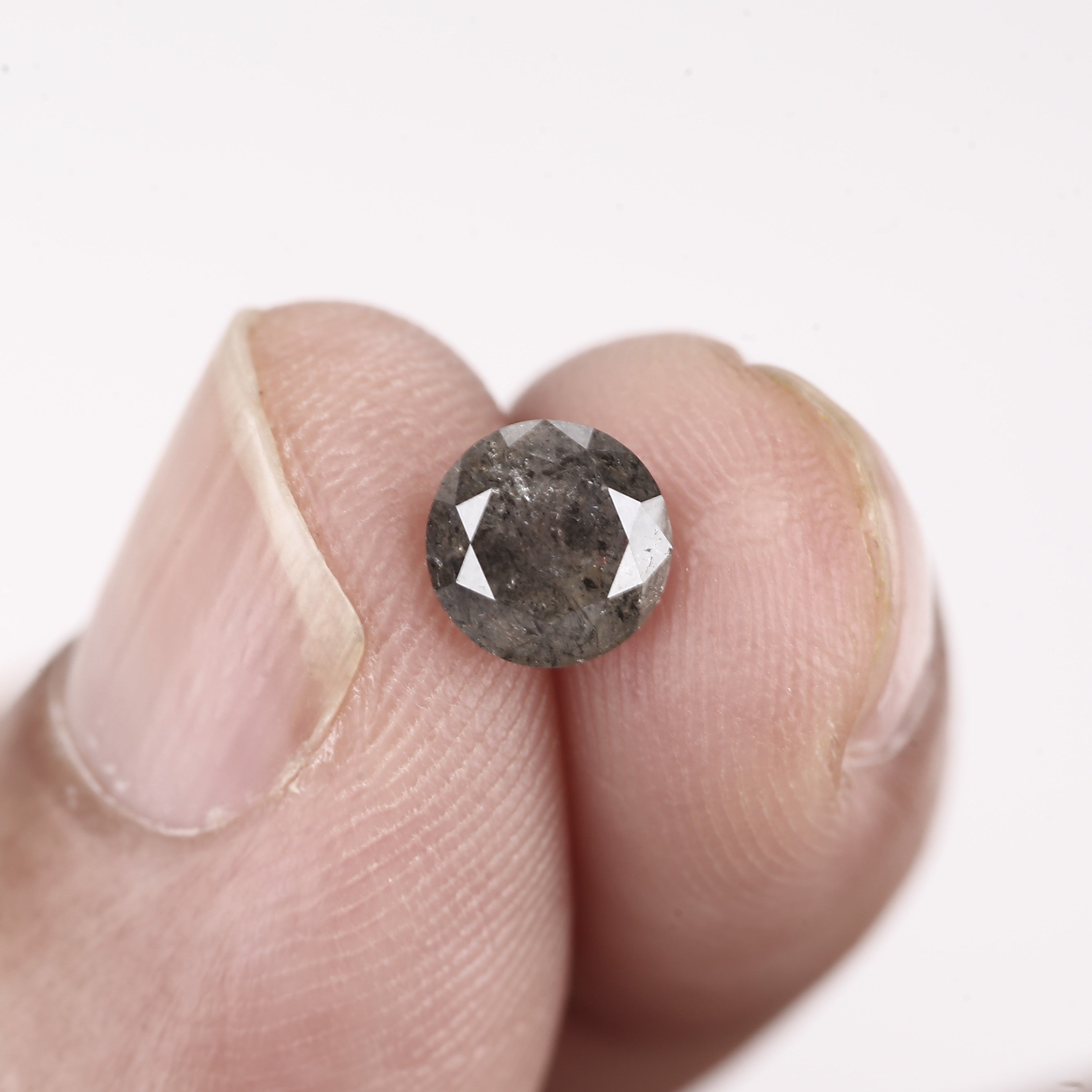 ClariOLED Transparent OLED Display price