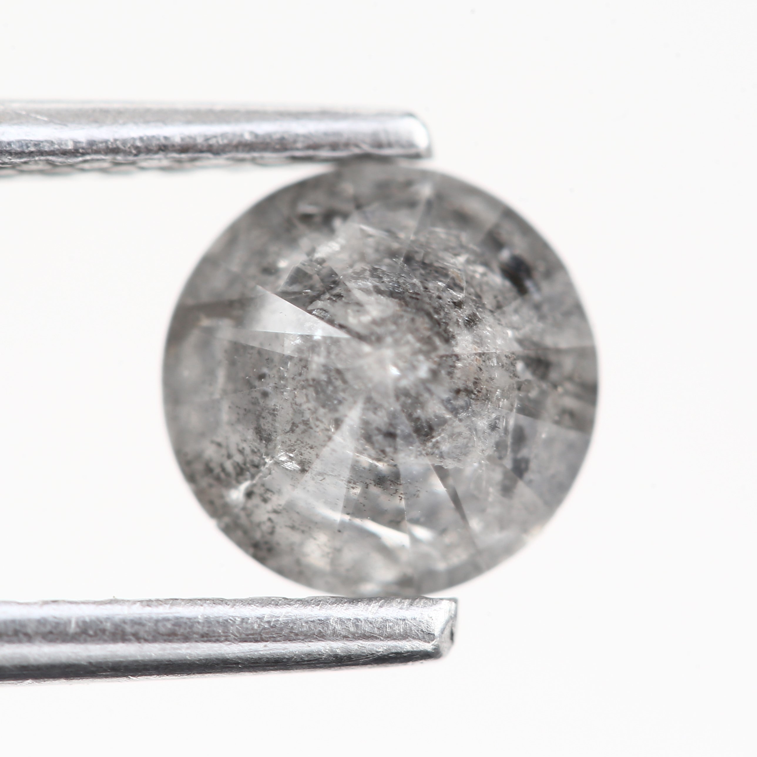 ClariOLED Transparent OLED Display price