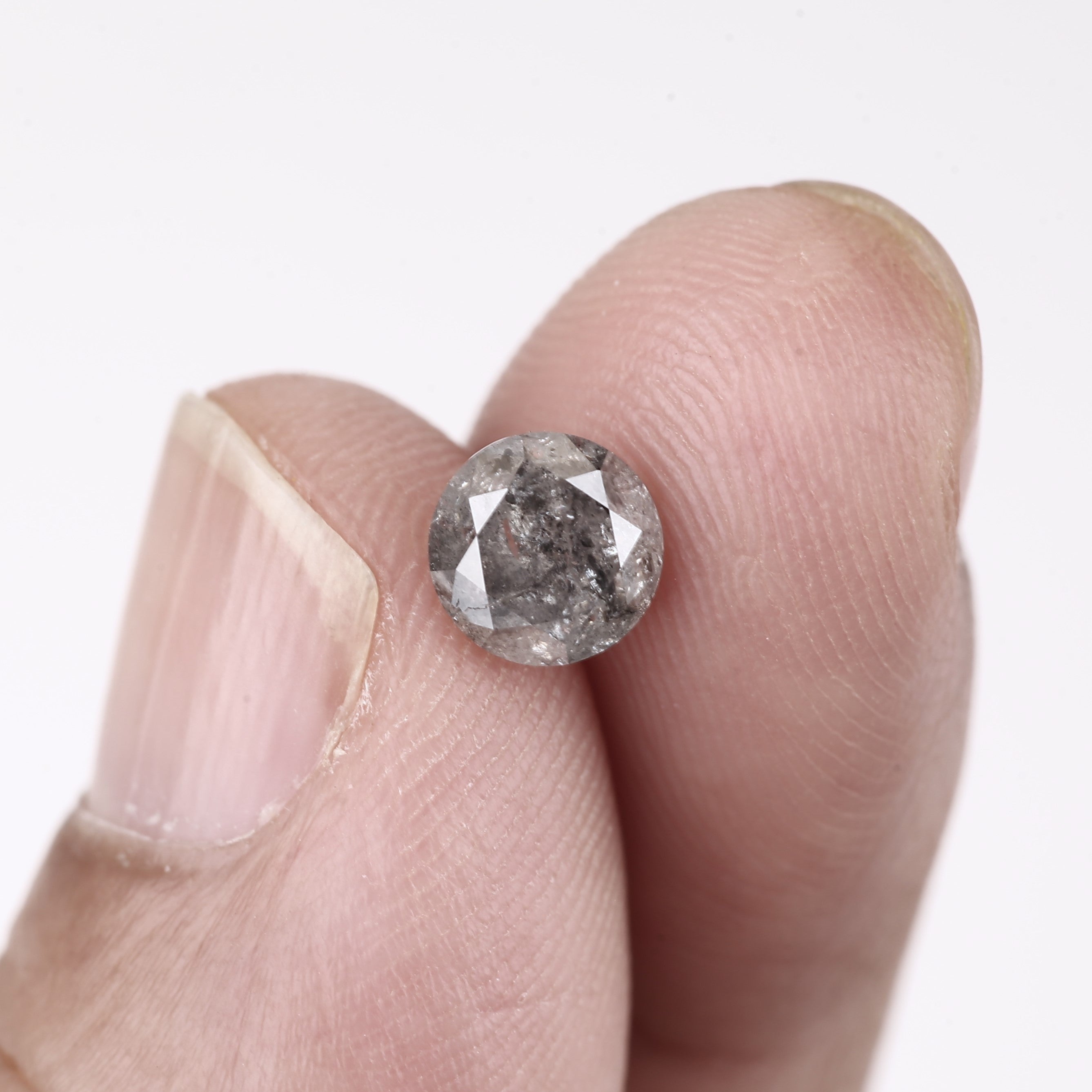 ClariOLED Transparent OLED Display price