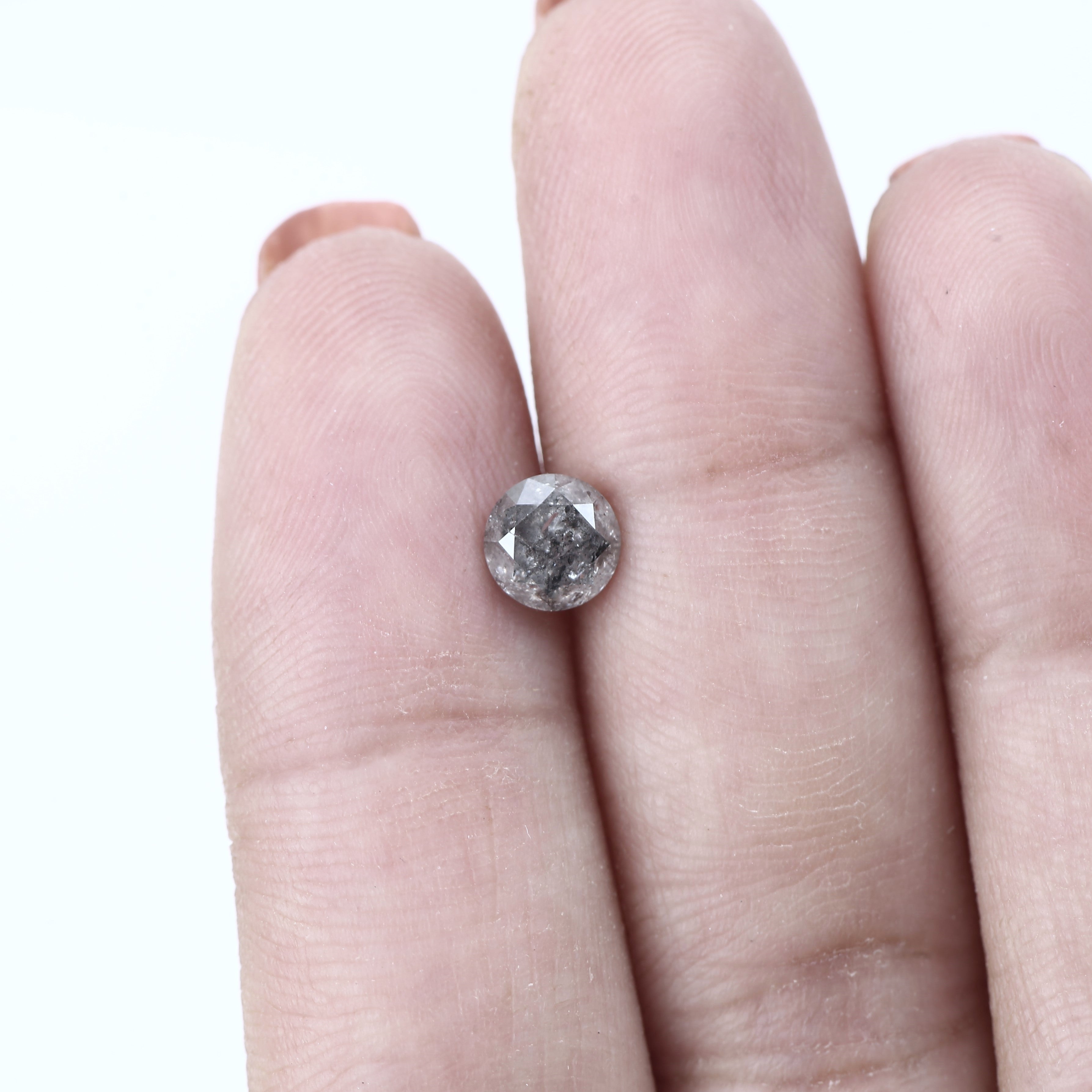 ClariOLED Transparent OLED Display price