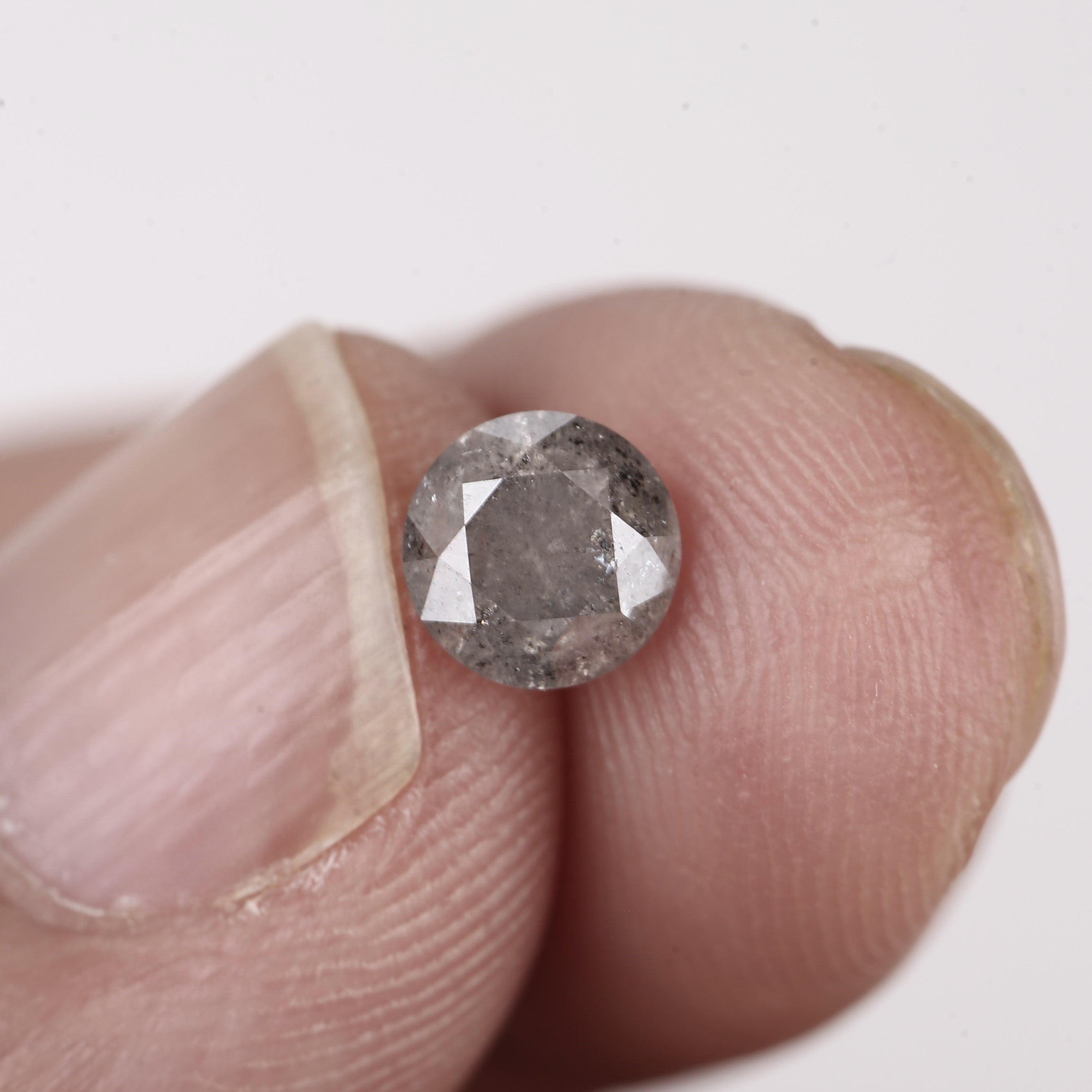 ClariOLED Transparent OLED Display price