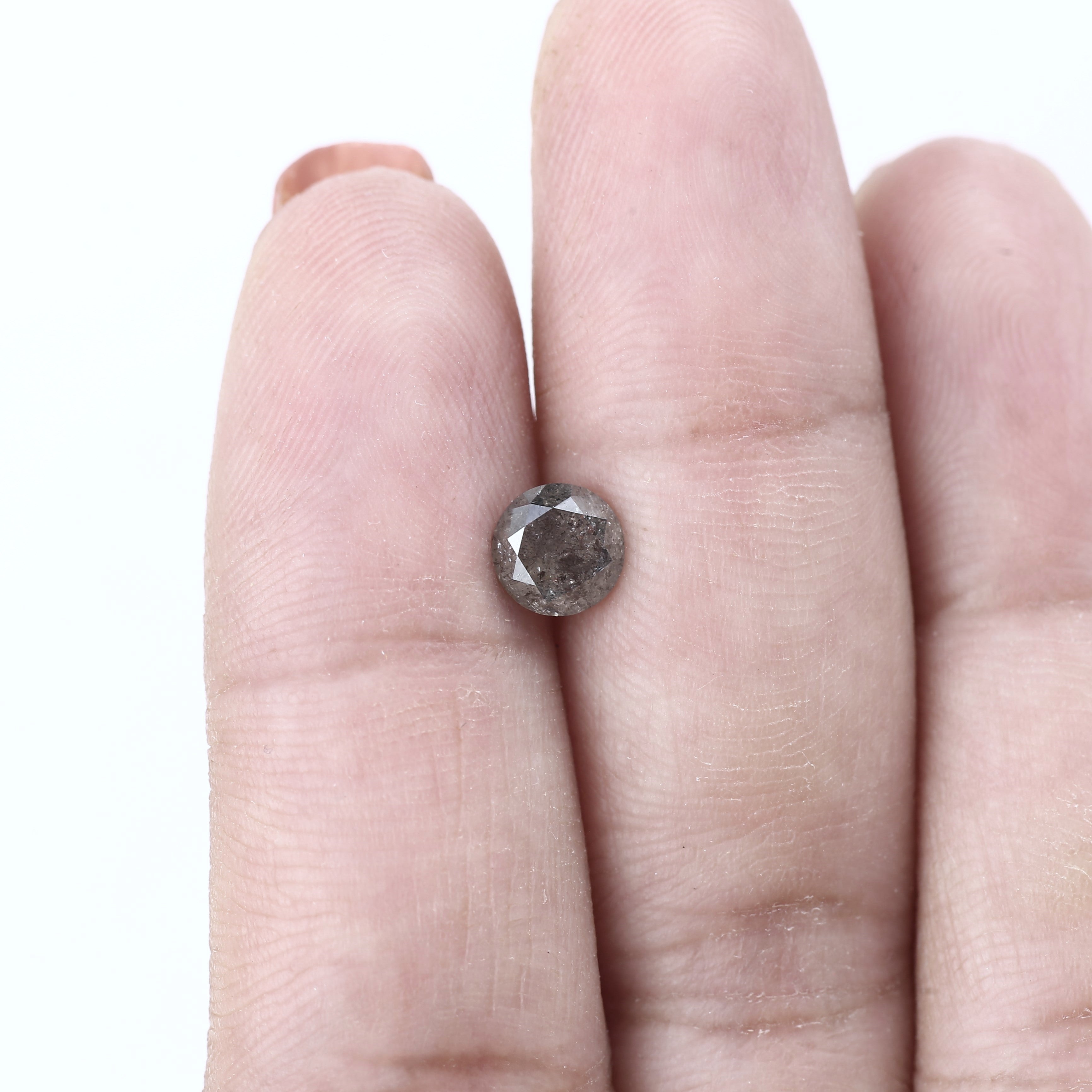 ClariOLED Transparent OLED Display price