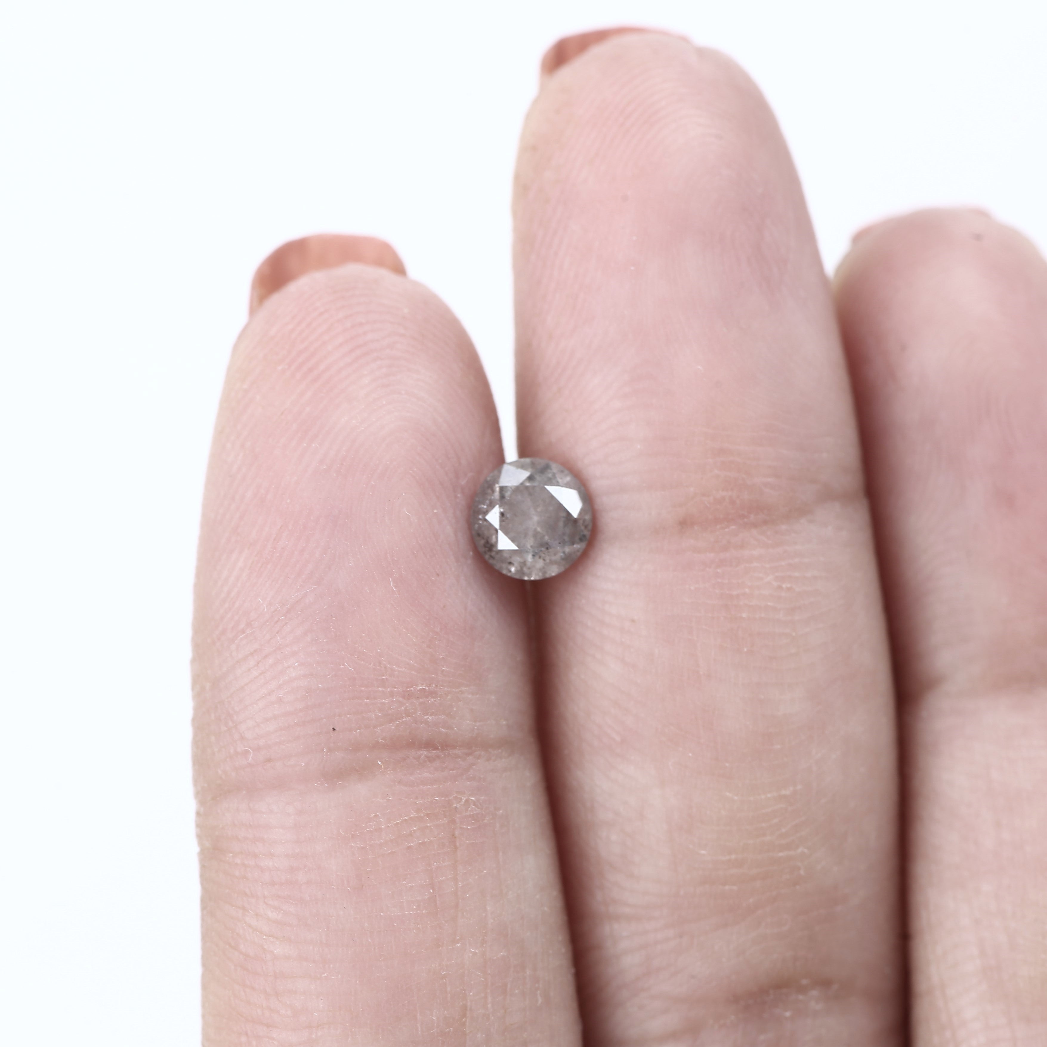 ClariOLED Transparent OLED Display price