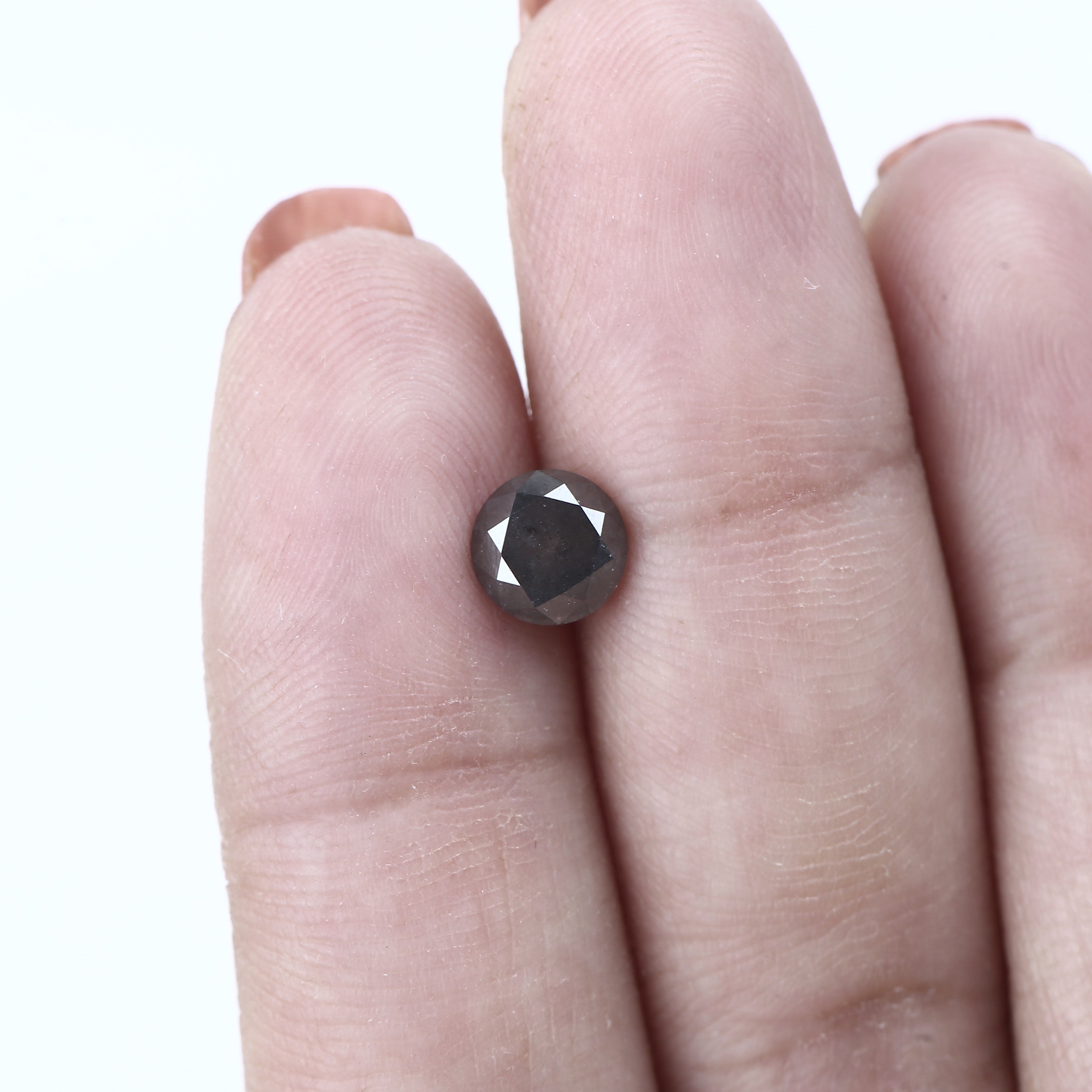 ClariOLED Transparent OLED Display price