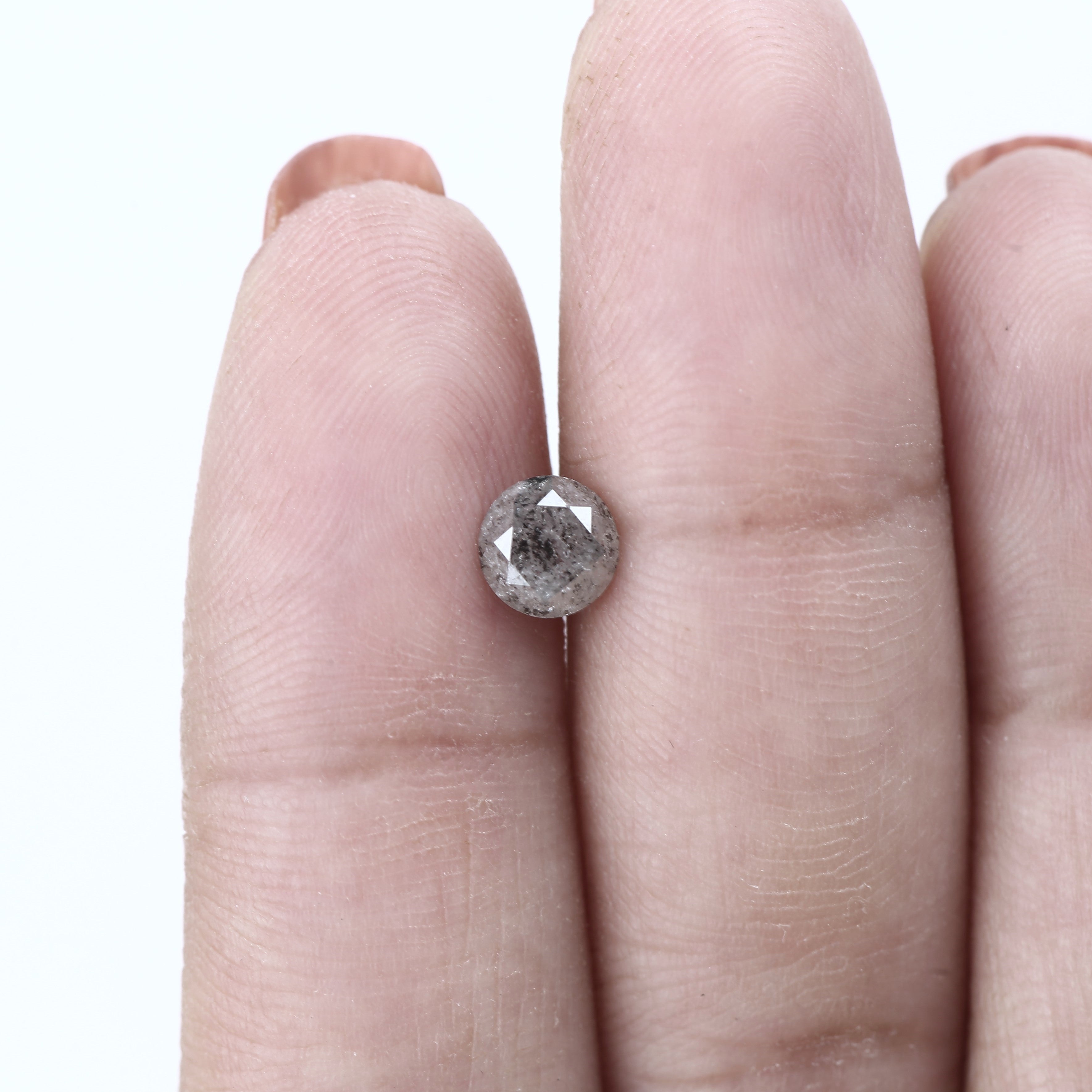 ClariOLED Transparent OLED Display price