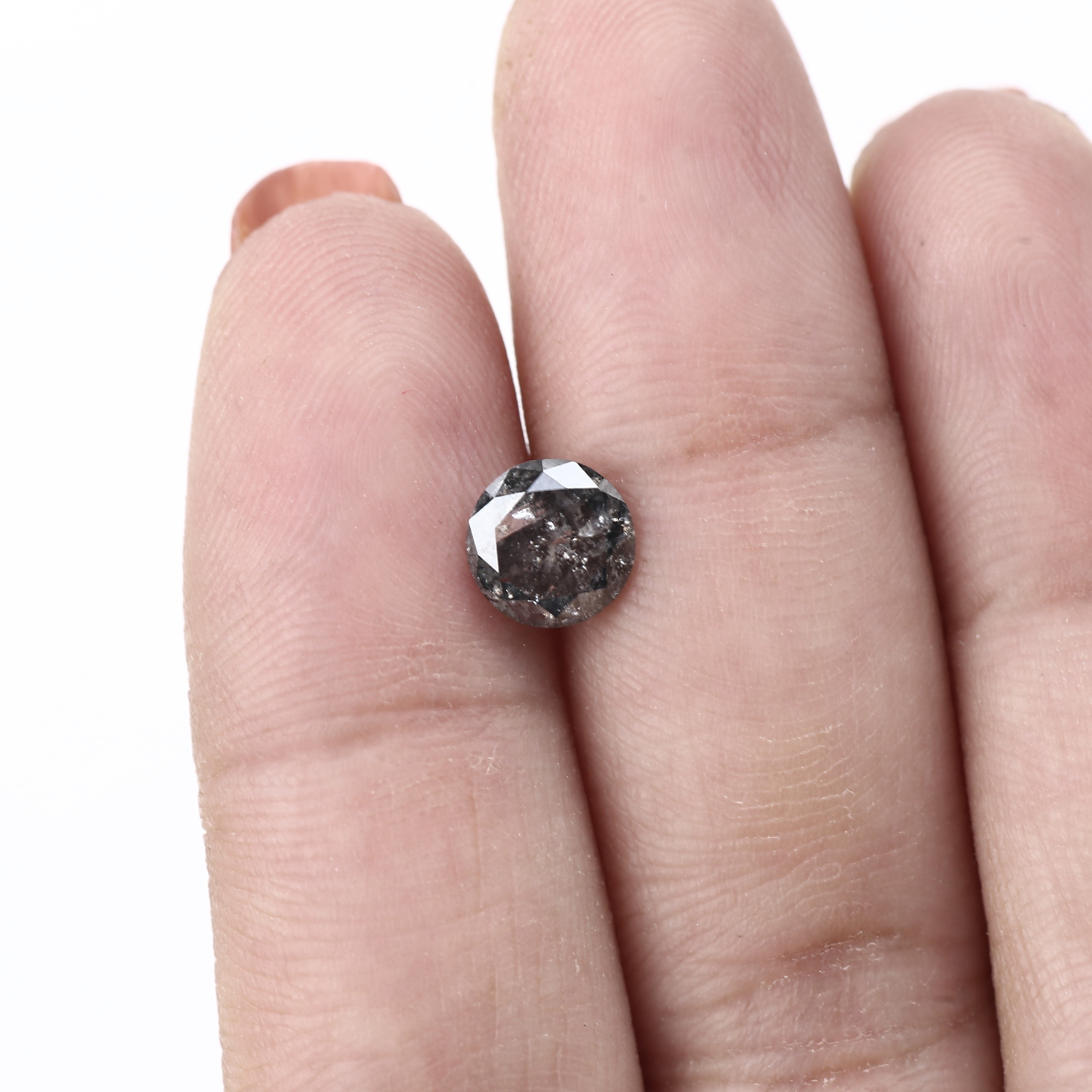 ClariOLED Transparent OLED Display price