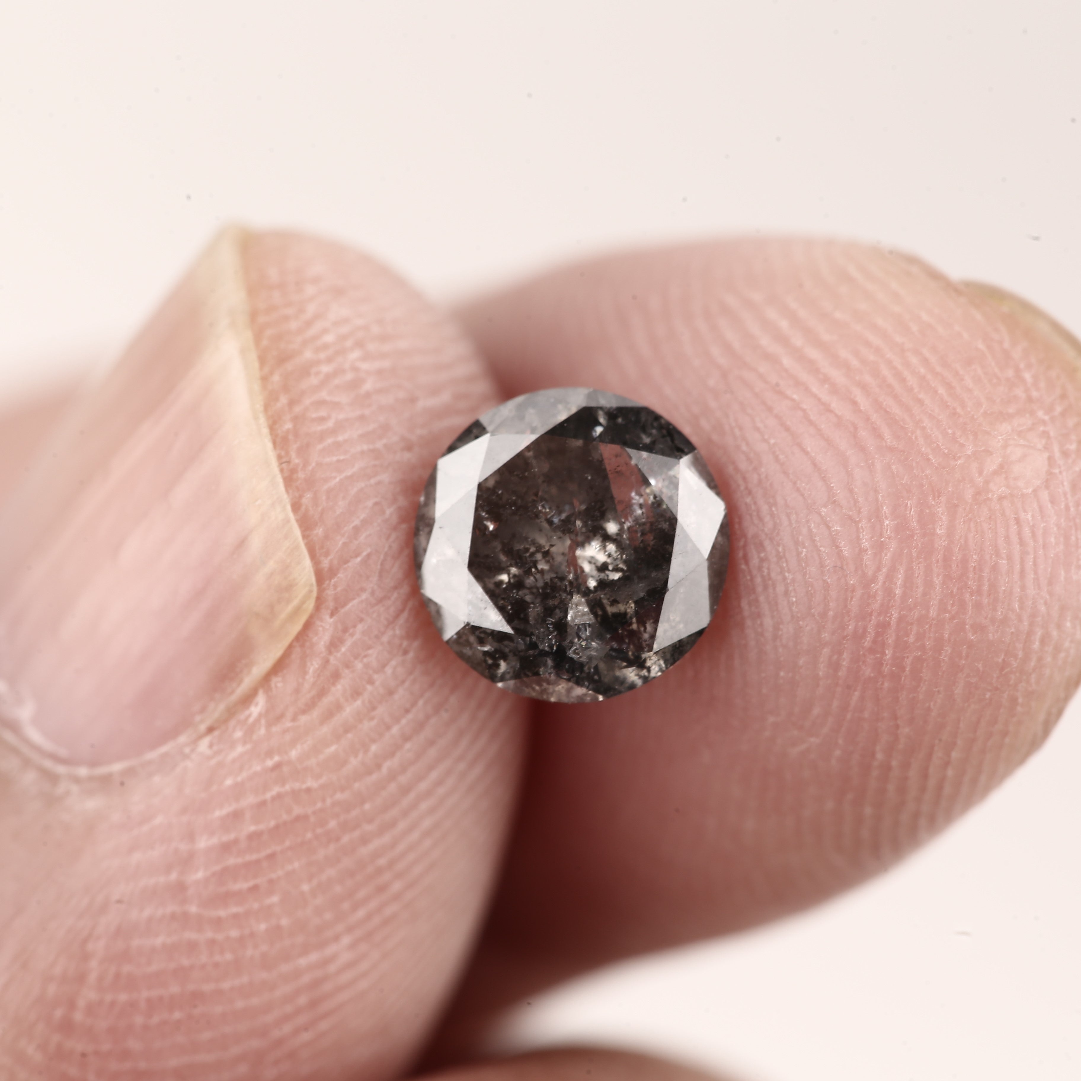 ClariOLED Transparent OLED Display price