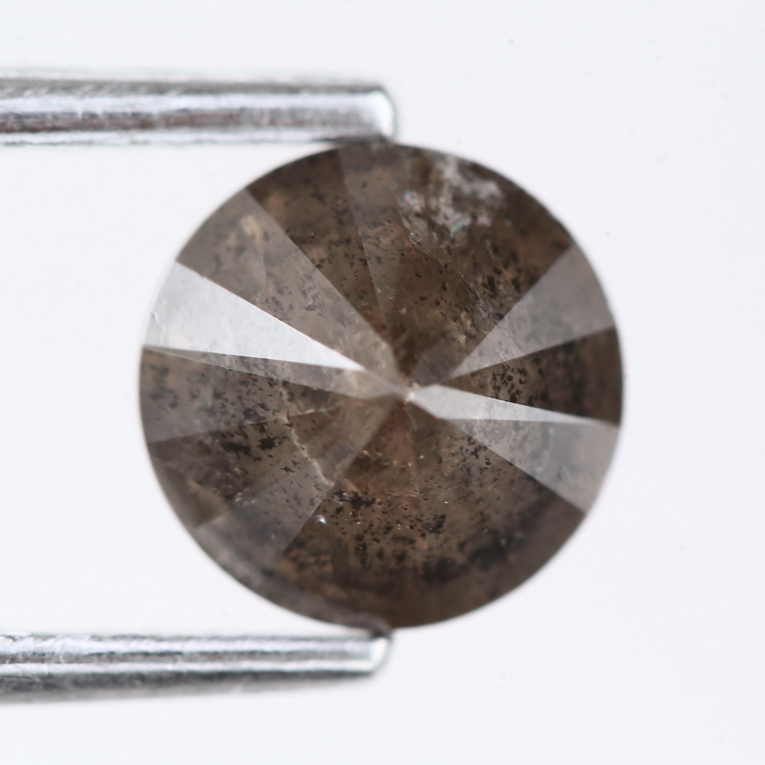 ClariOLED Transparent OLED Display price