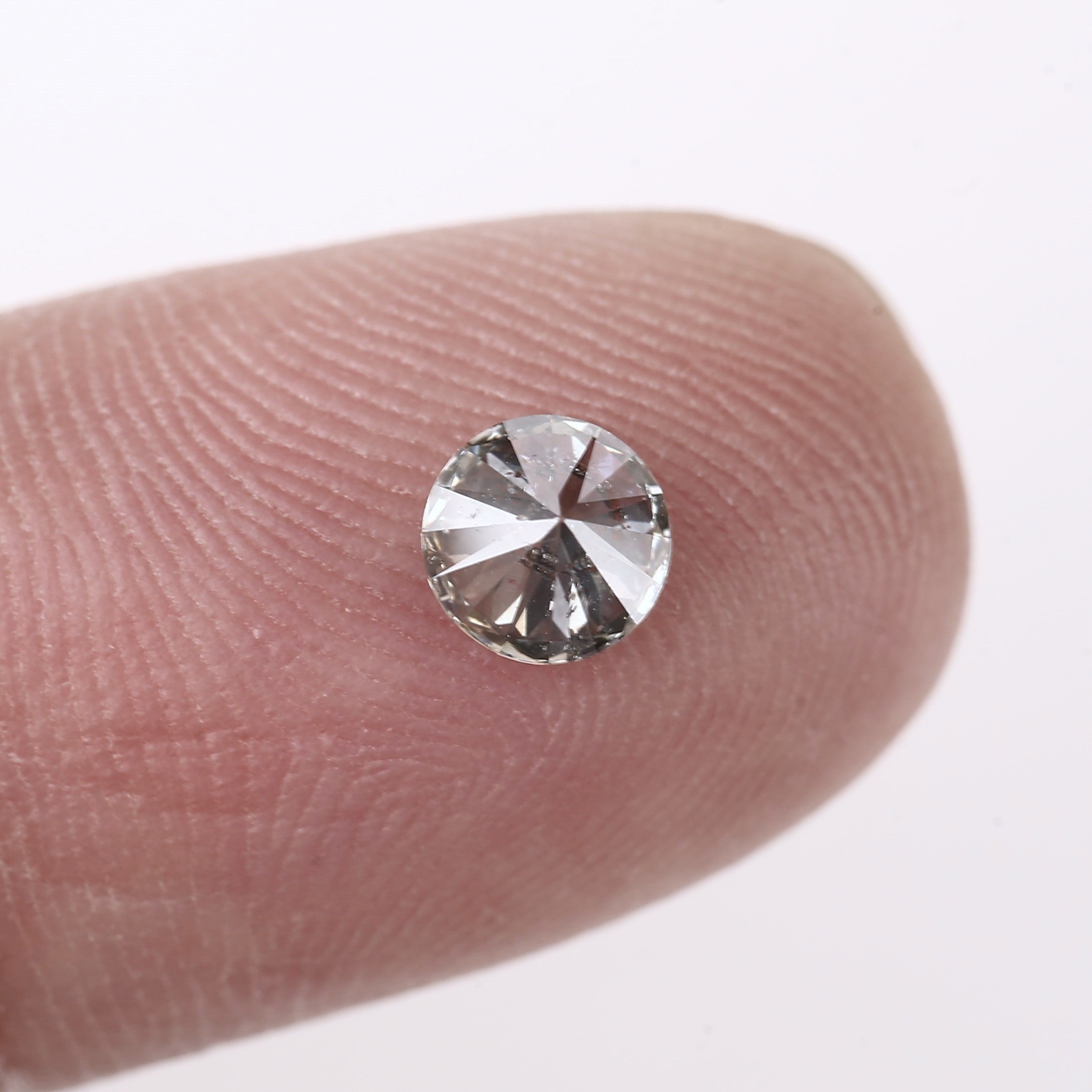 ClariOLED Transparent OLED Display price