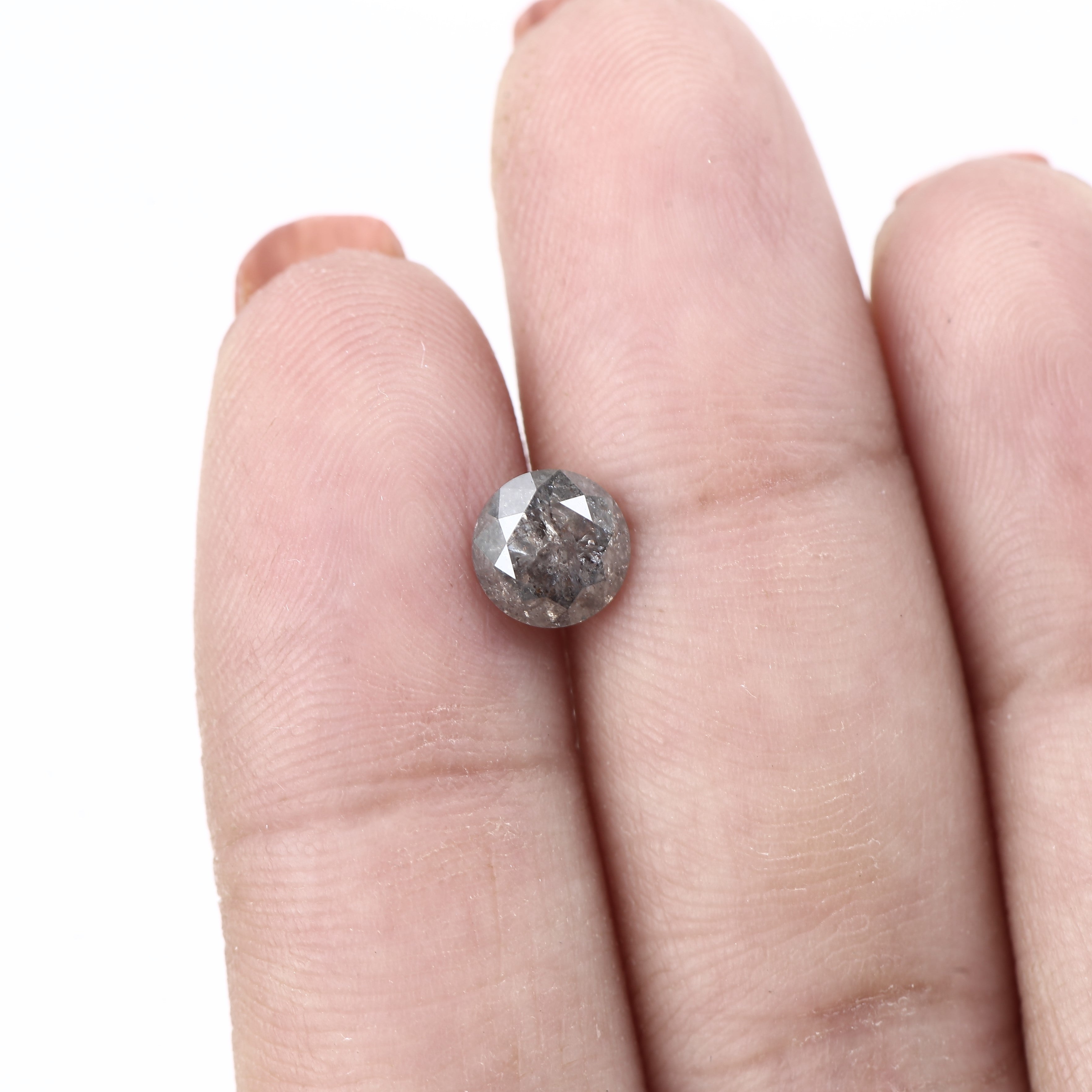 ClariOLED Transparent OLED Display price