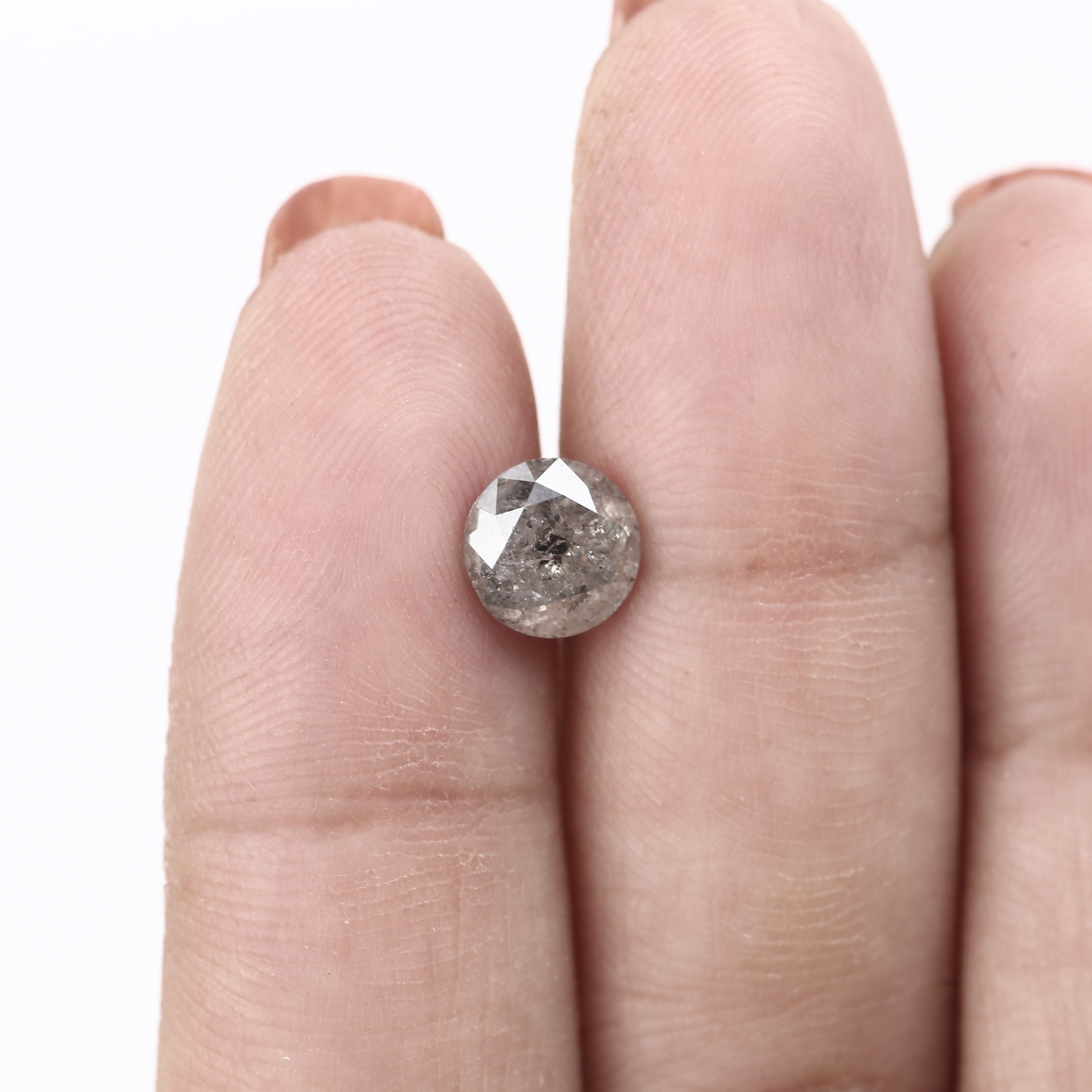 ClariOLED Transparent OLED Display price