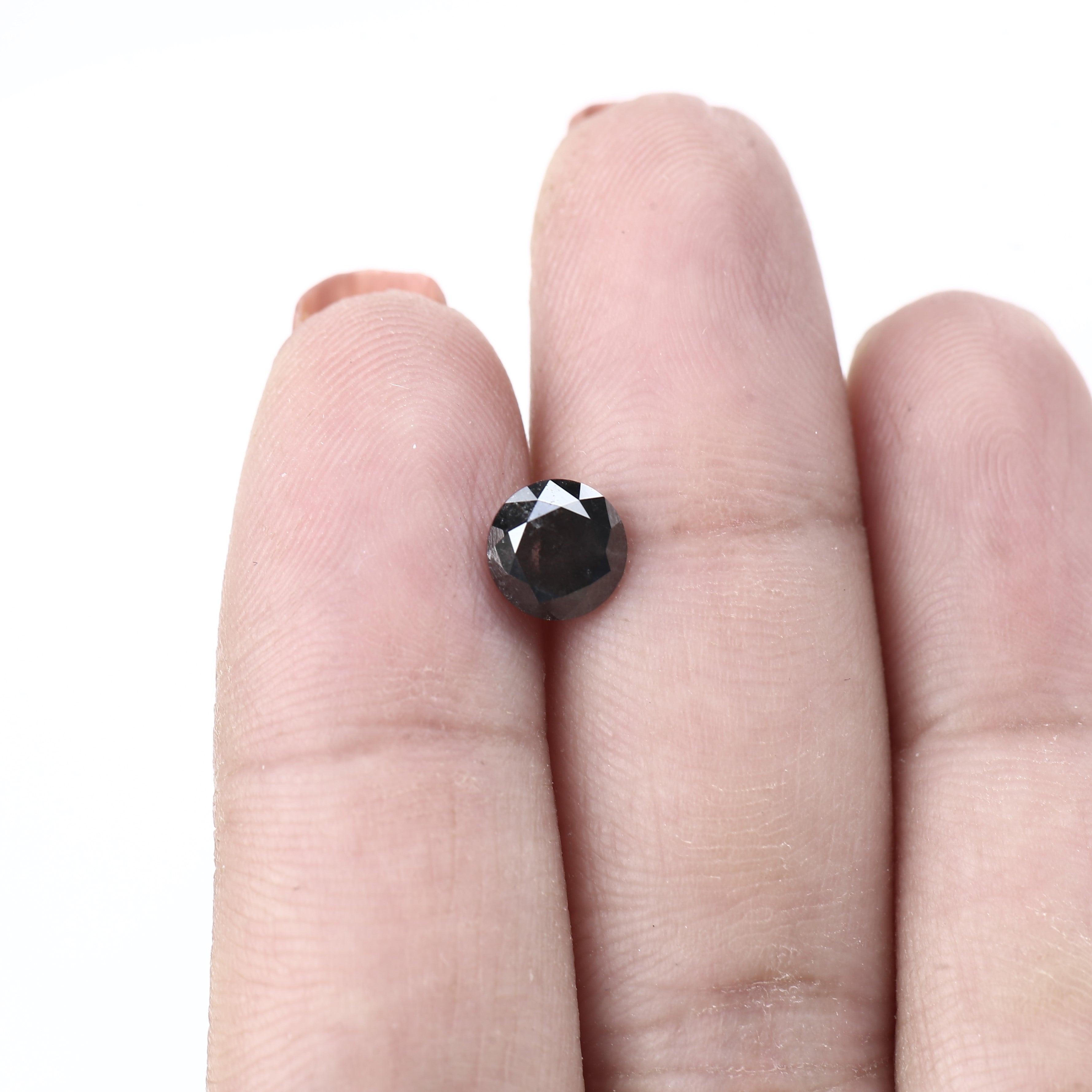 ClariOLED Transparent OLED Display price