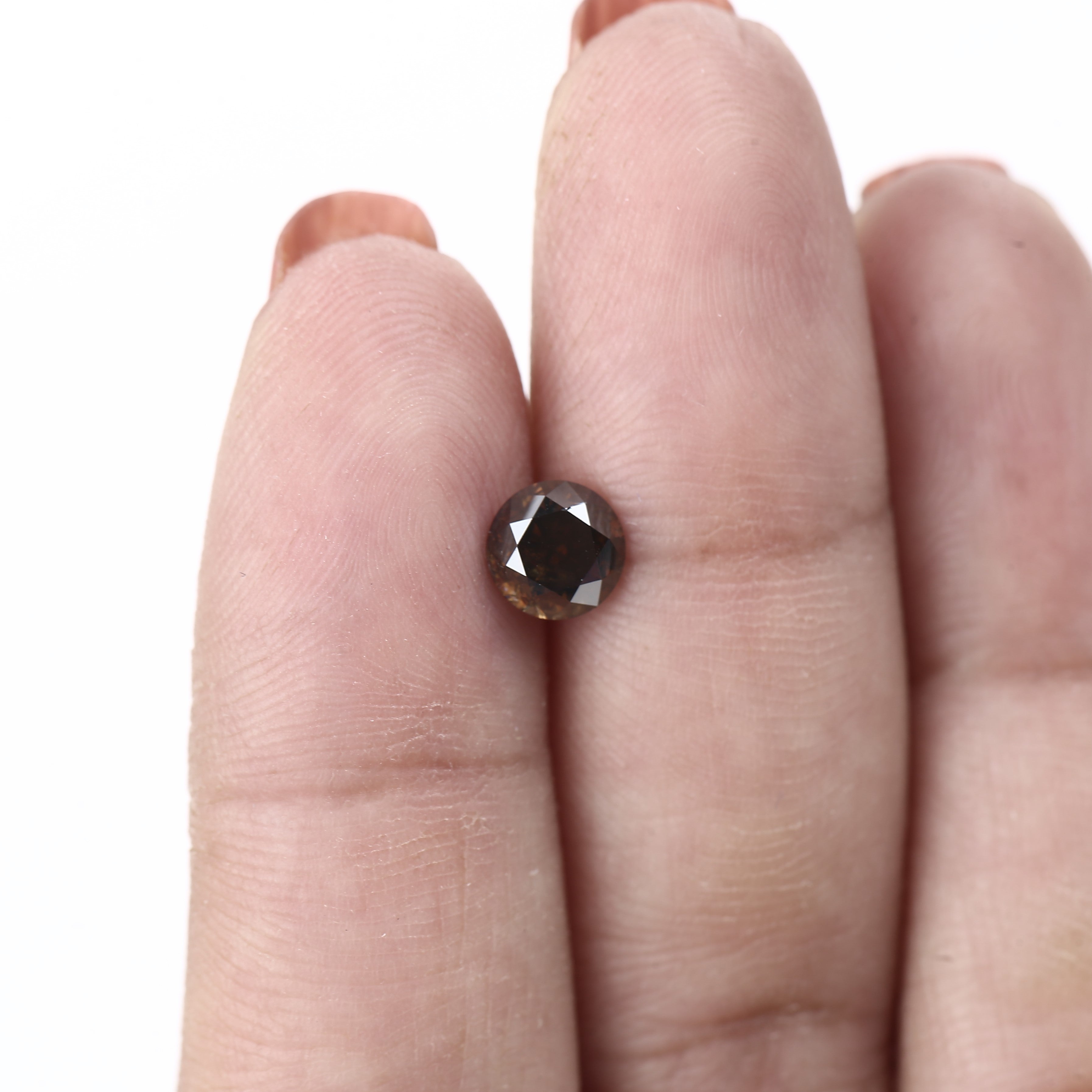 ClariOLED Transparent OLED Display price