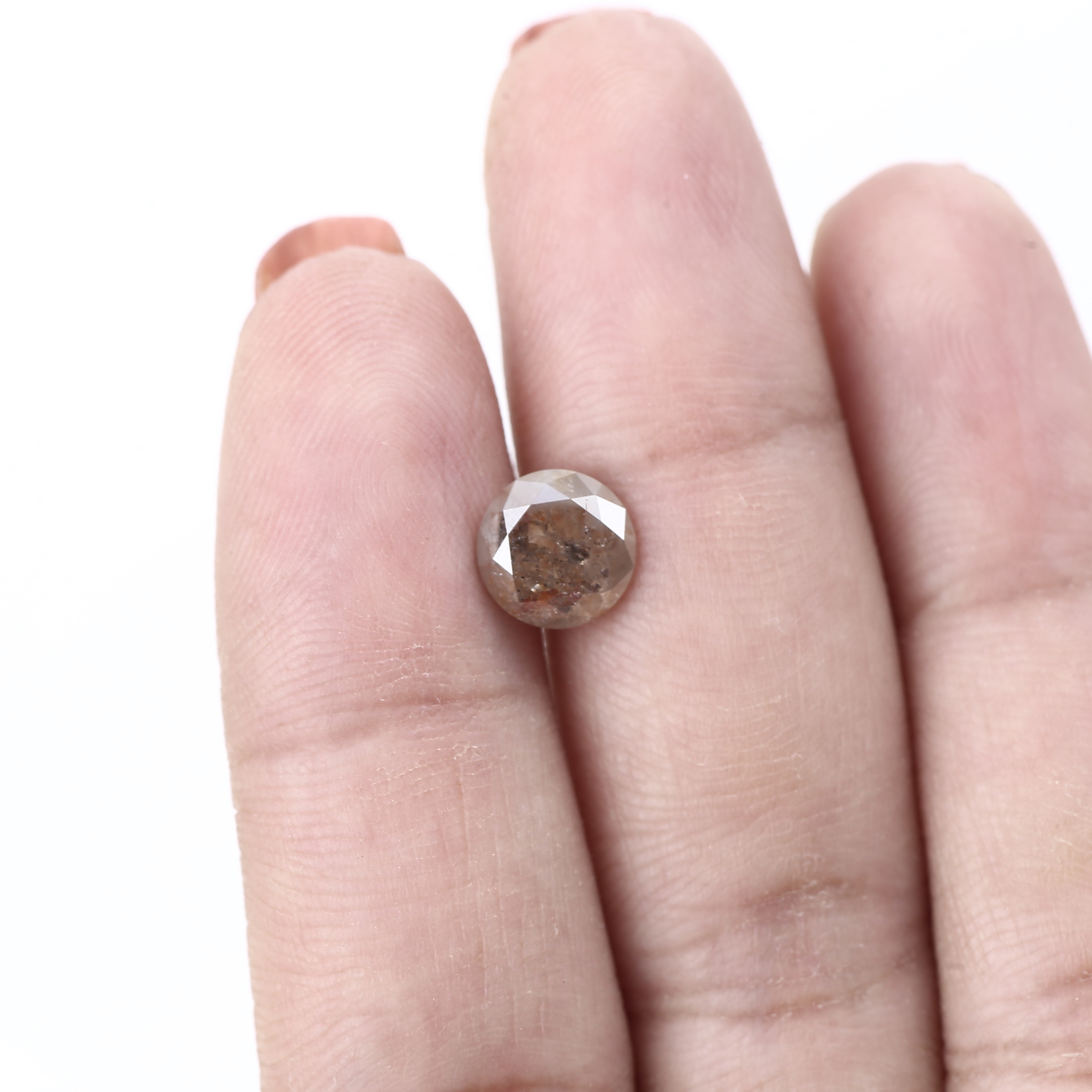 ClariOLED Transparent OLED Display price