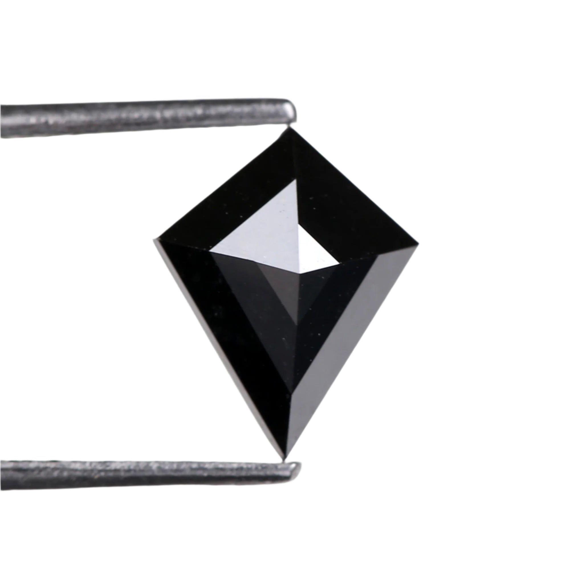 ClariOLED Transparent OLED Display price