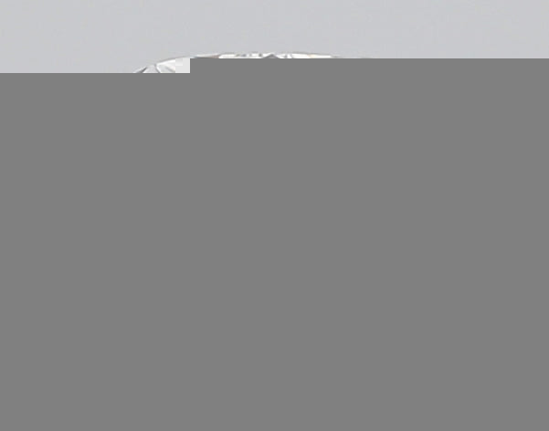 ClariOLED Transparent OLED Display price