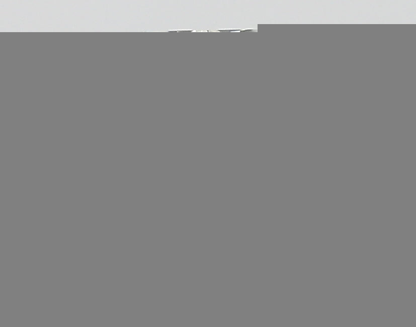 ClariOLED Transparent OLED Display price