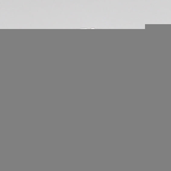 ClariOLED Transparent OLED Display price