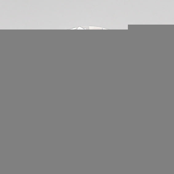 ClariOLED Transparent OLED Display price