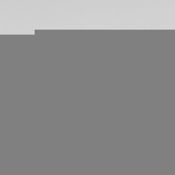 ClariOLED Transparent OLED Display price