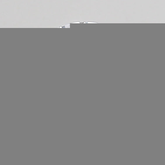 ClariOLED Transparent OLED Display price