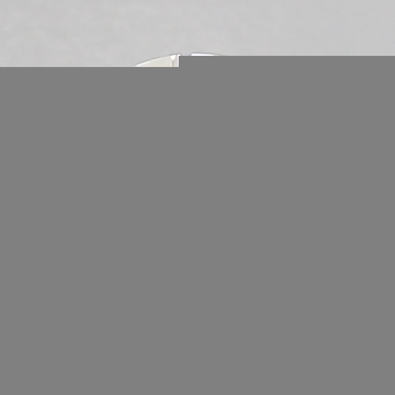 ClariOLED Transparent OLED Display price