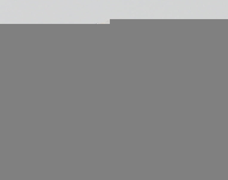 ClariOLED Transparent OLED Display price