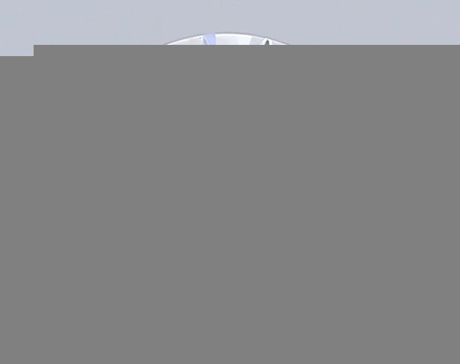 ClariOLED Transparent OLED Display price