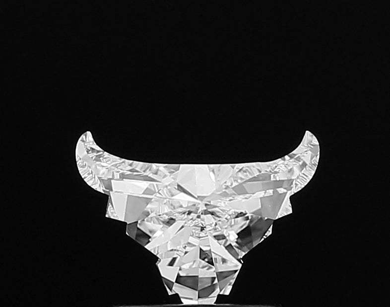 ClariOLED Transparent OLED Display price