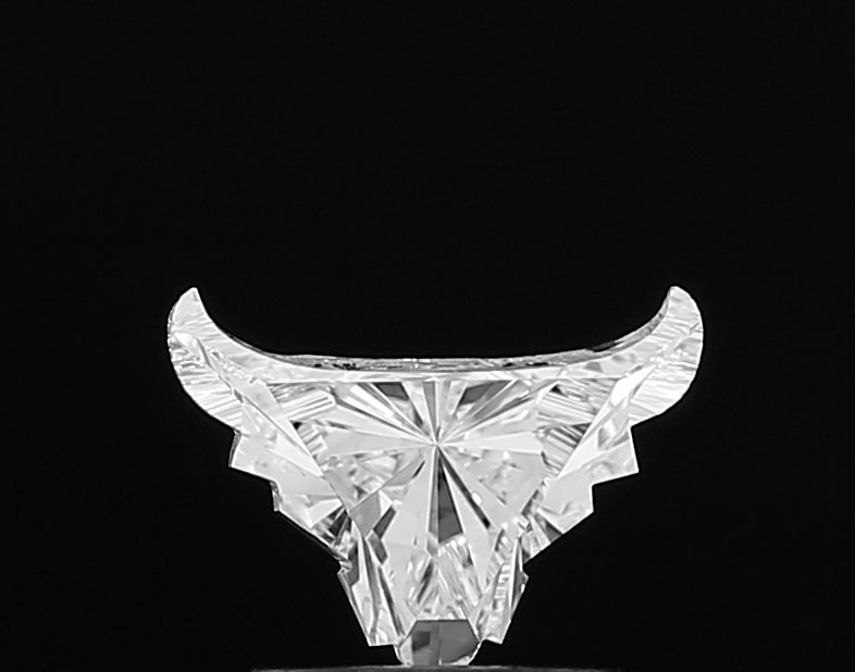 ClariOLED Transparent OLED Display price