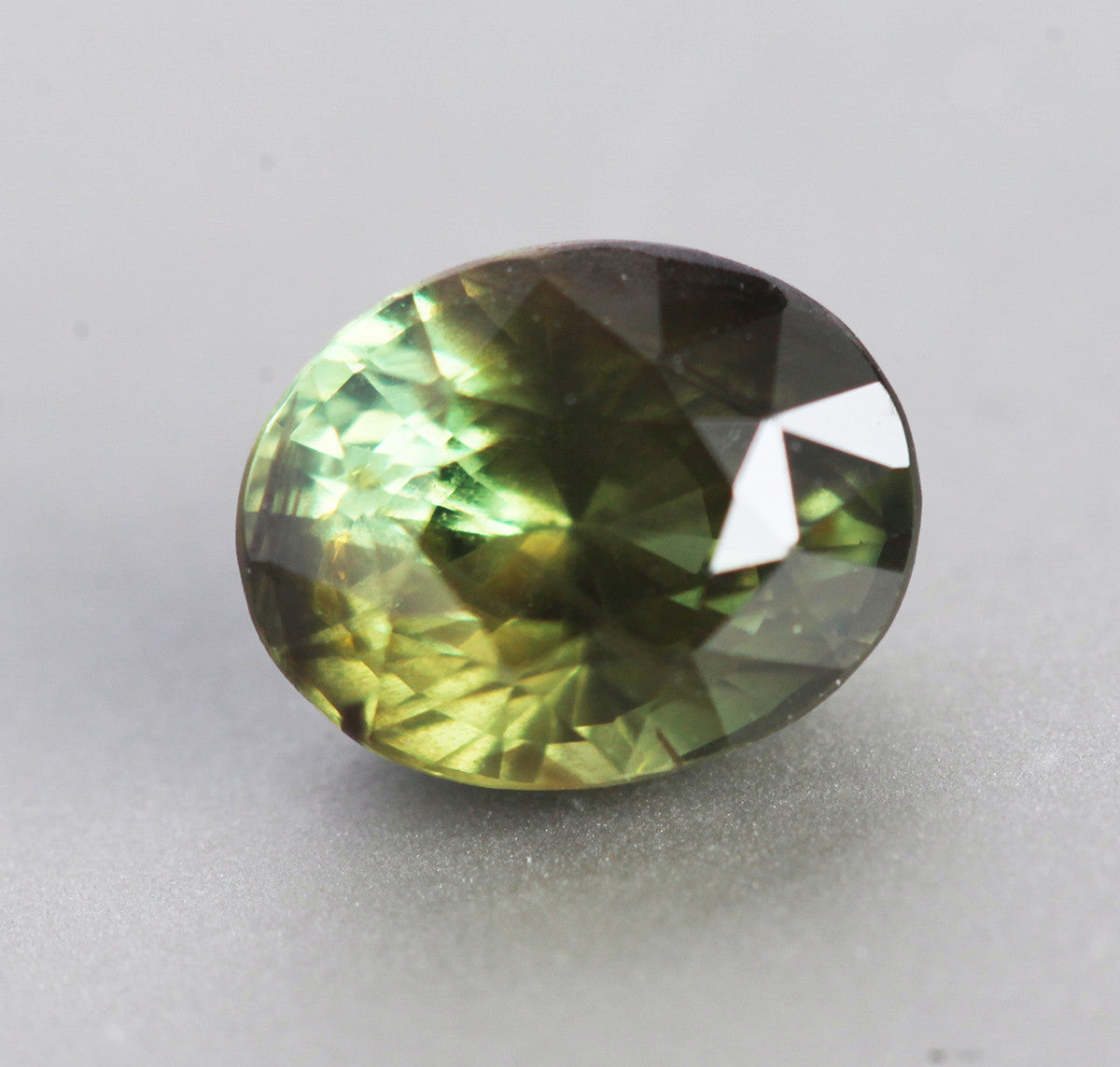 APP Cost Calculator: Software Dev, App Dev, IT 