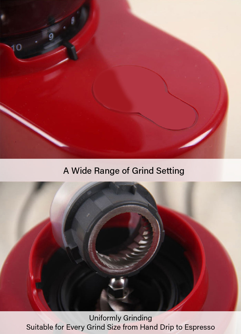 香港中藥批發 台灣中藥批發 日本中藥批發 中藥貿易 中藥出口