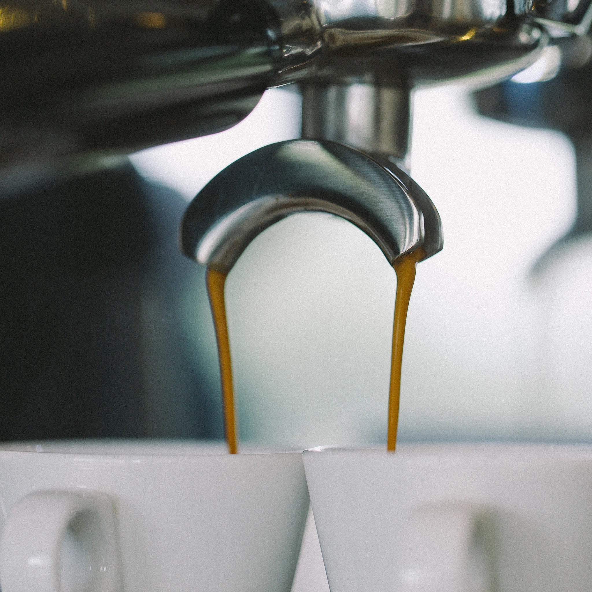 香港中藥批發 台灣中藥批發 日本中藥批發 中藥貿易 中藥出口